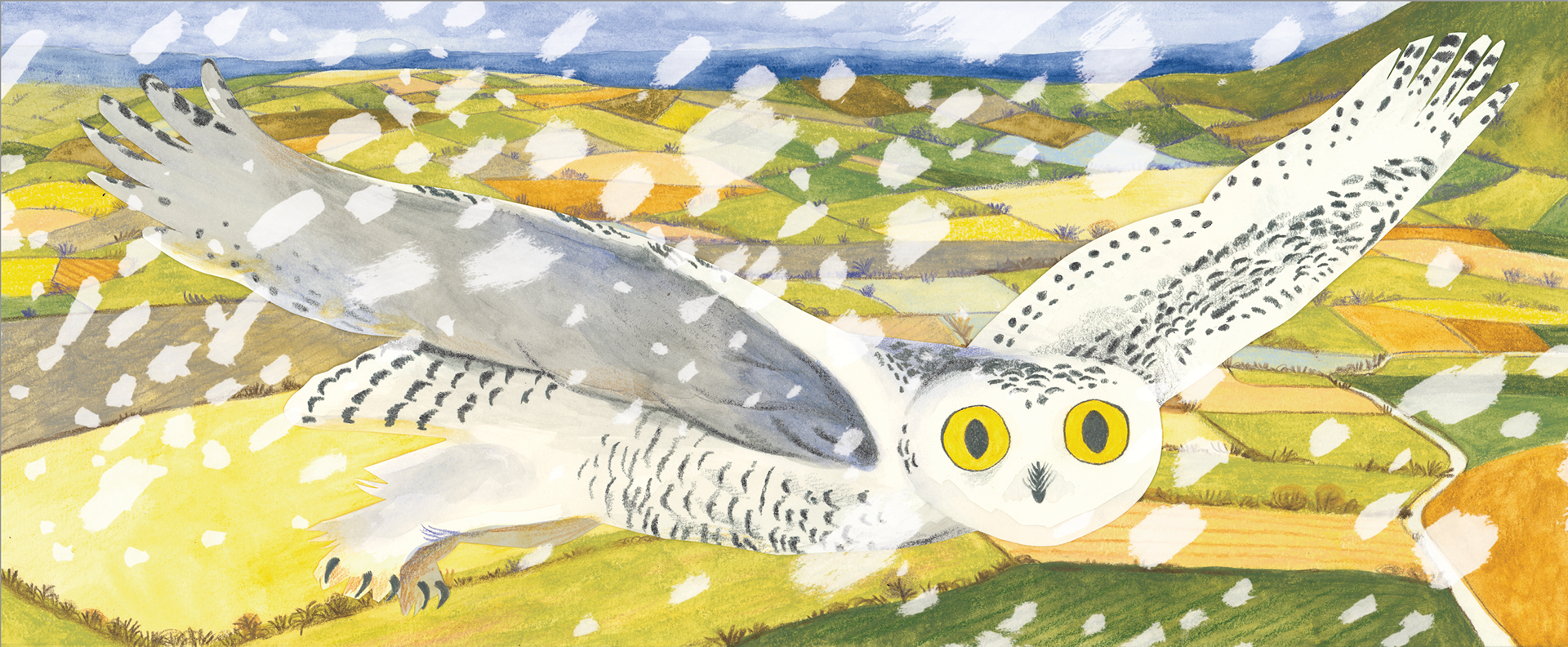 "First Snow" - personal work