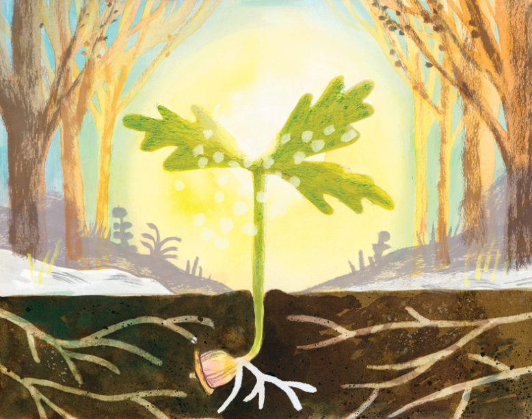Illustration from "The Little Oak"
