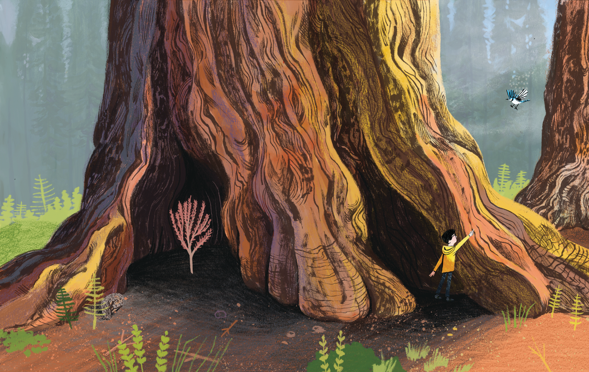 Illustration from "The Little Oak"