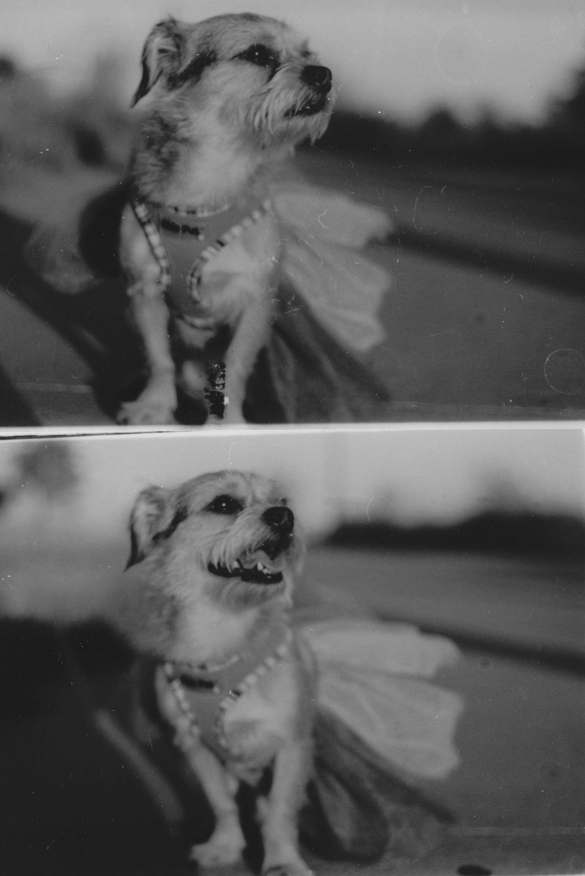 Kai in a Tutu