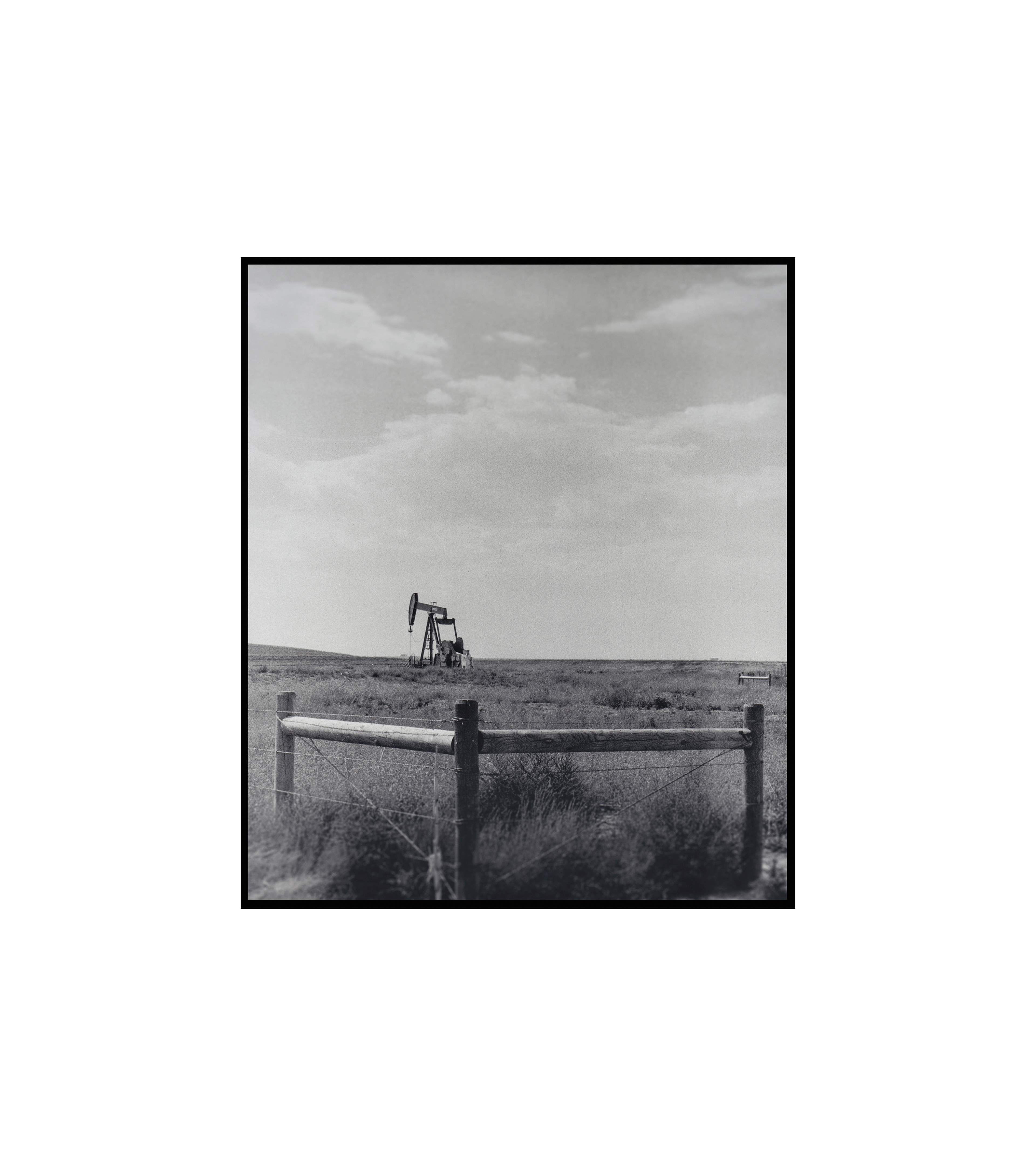 Paper: Ilford RC Pearl. Darkroom Exp: f8 | 3sec | No filters