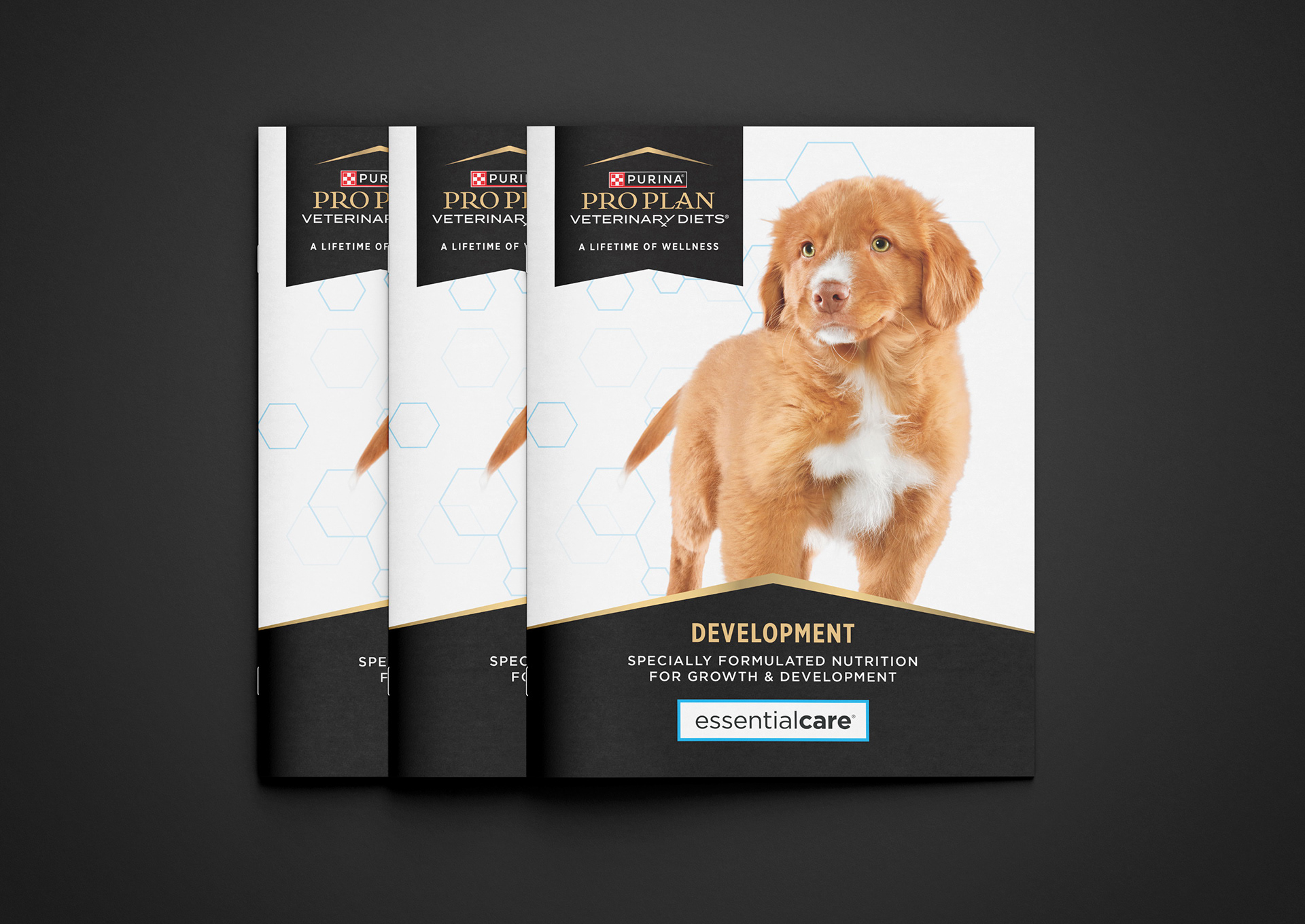 PURINA PRO VETERINARY DIETS | essentialcare PUPPY GUIDE UPDATE