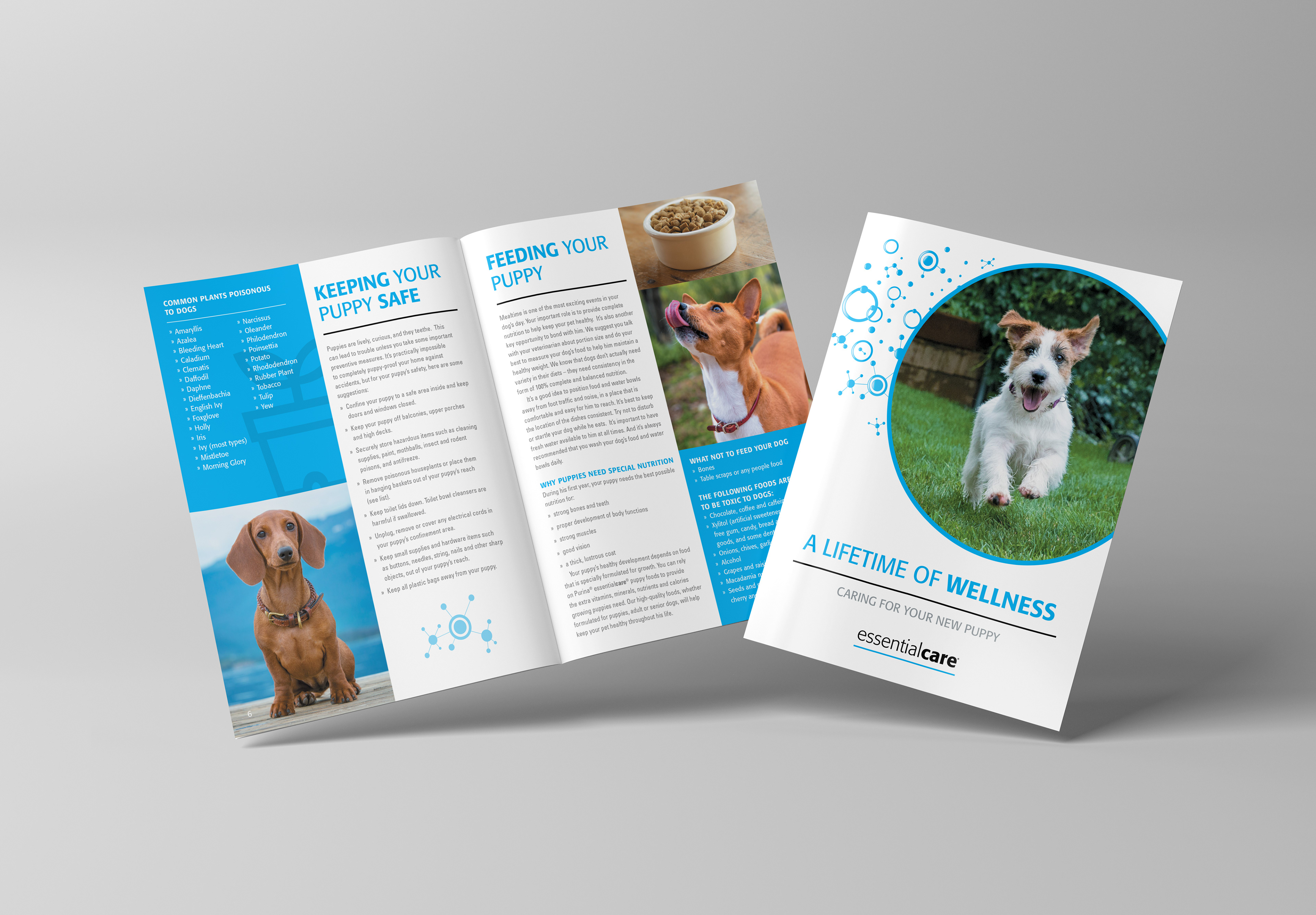 PURINA essentialcare PUPPY GUIDE | COVER + SPREAD