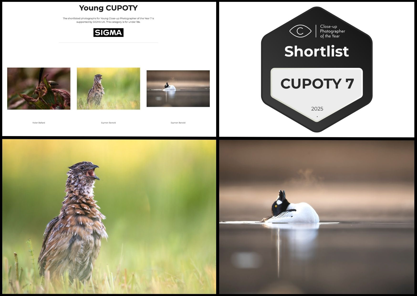dostanie się do krótkiej listy konkursu fotograficznego Close-up photographer of the year
