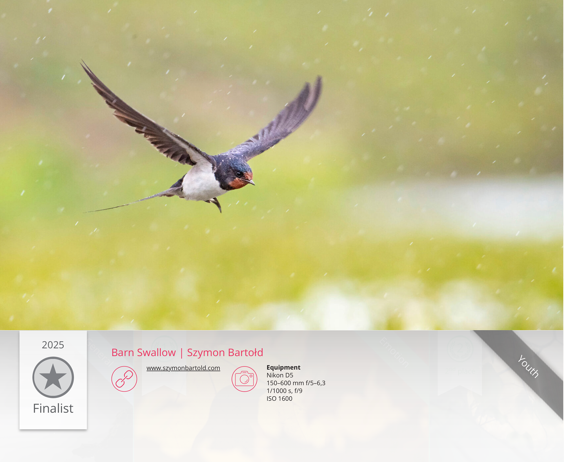 Finalista konkursu fotograficznego Vogelwarte