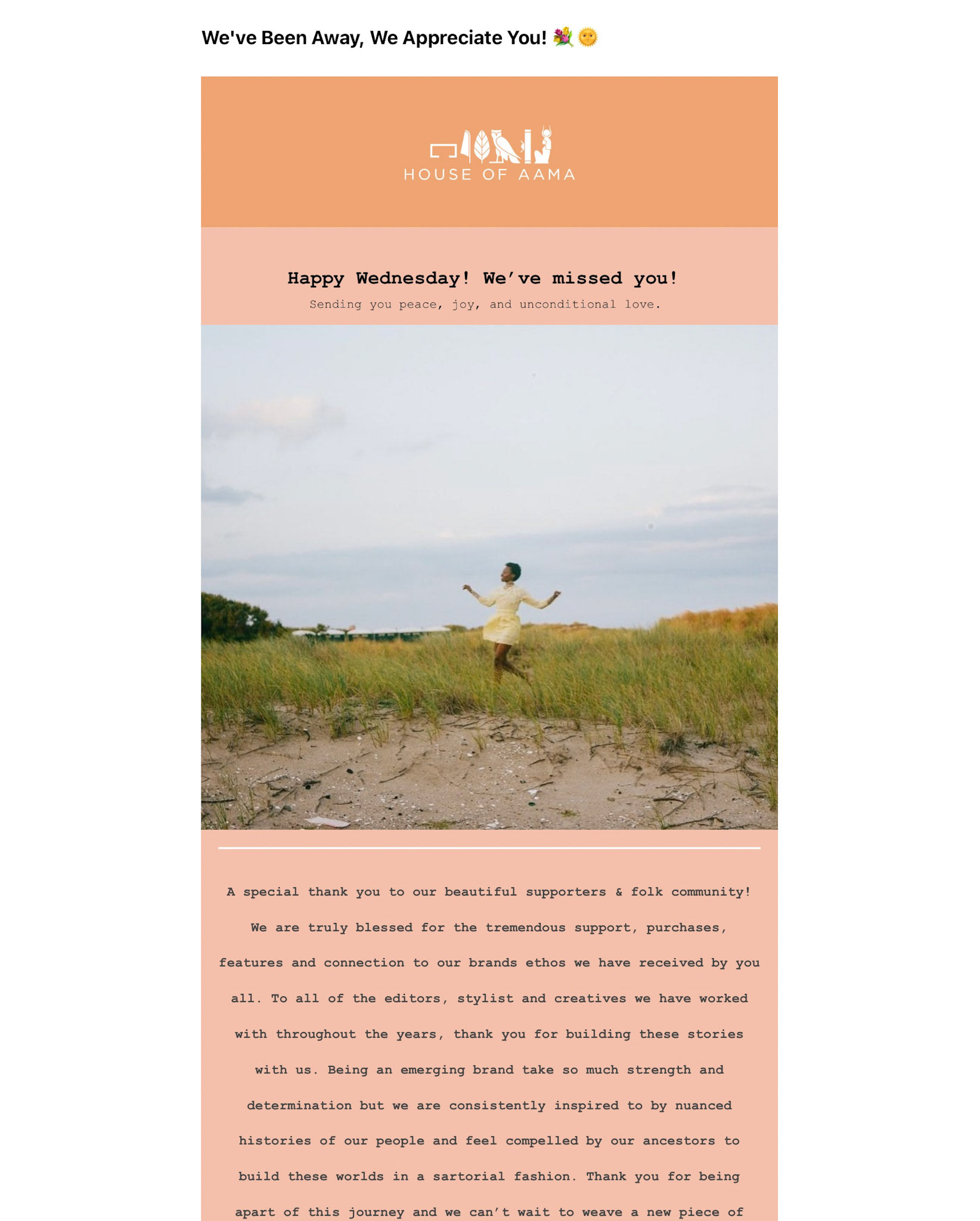 Email Marketing Campaign