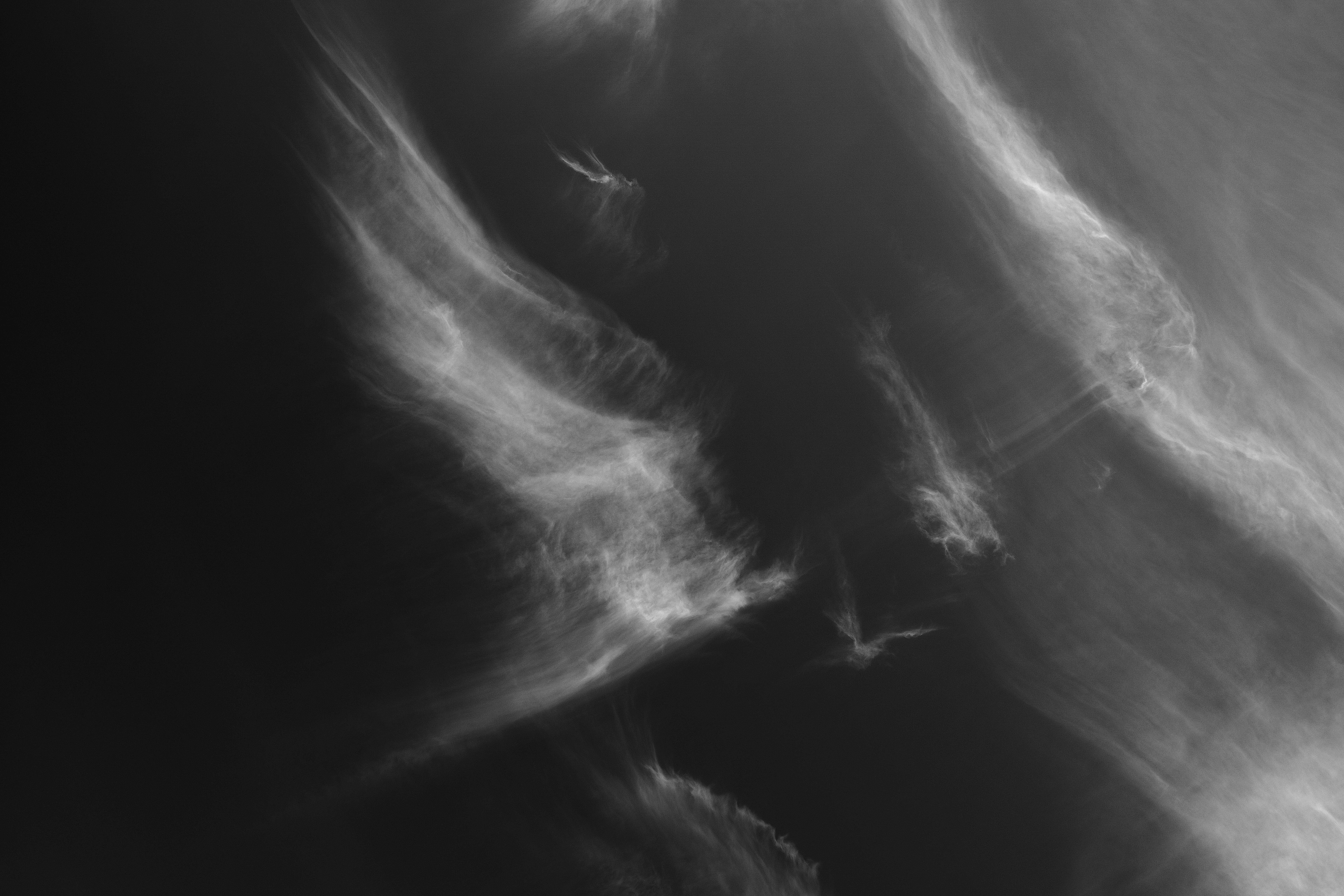 Coup de Coeur - Noir et Blanc 2022