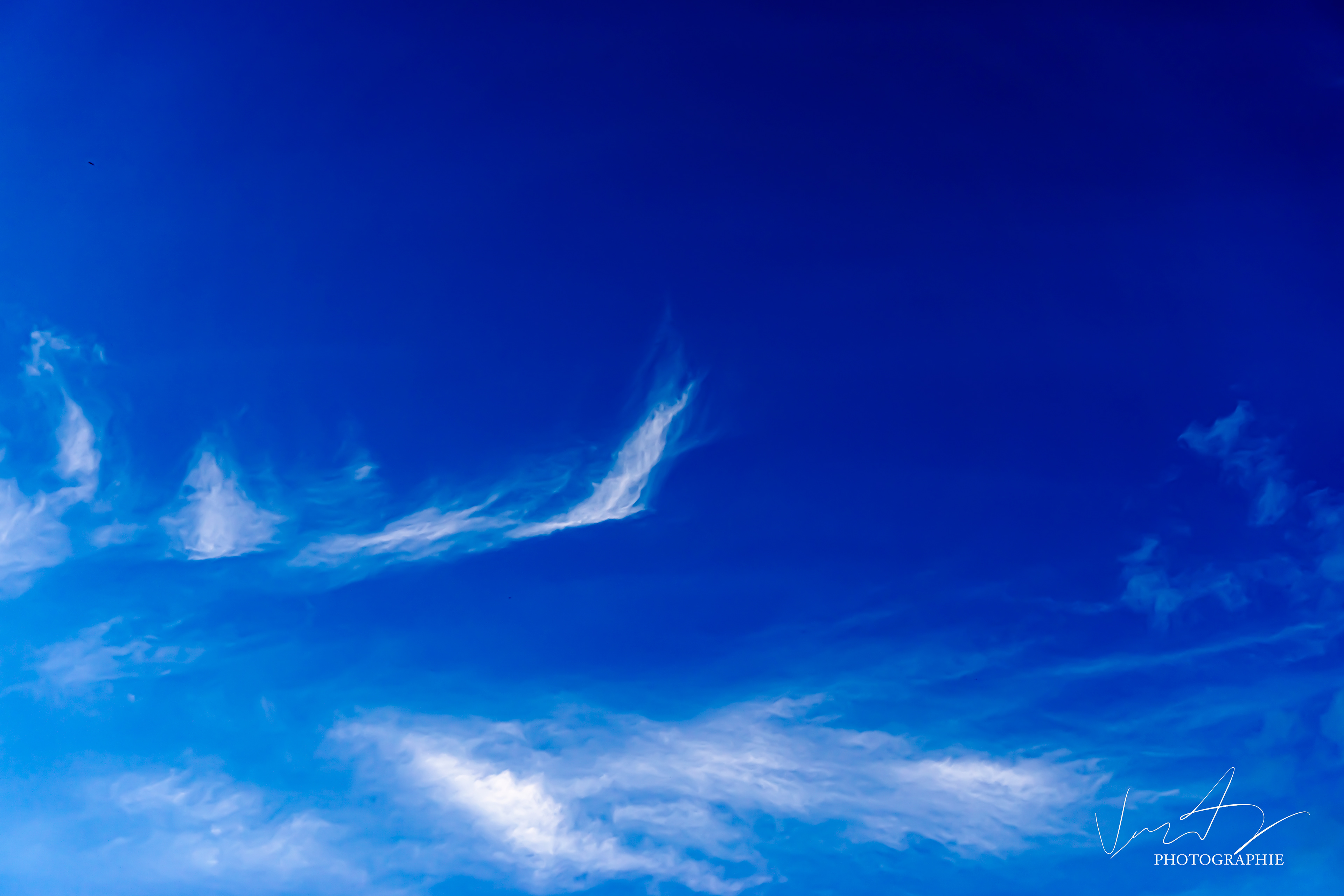 Une main se tend vers le monde