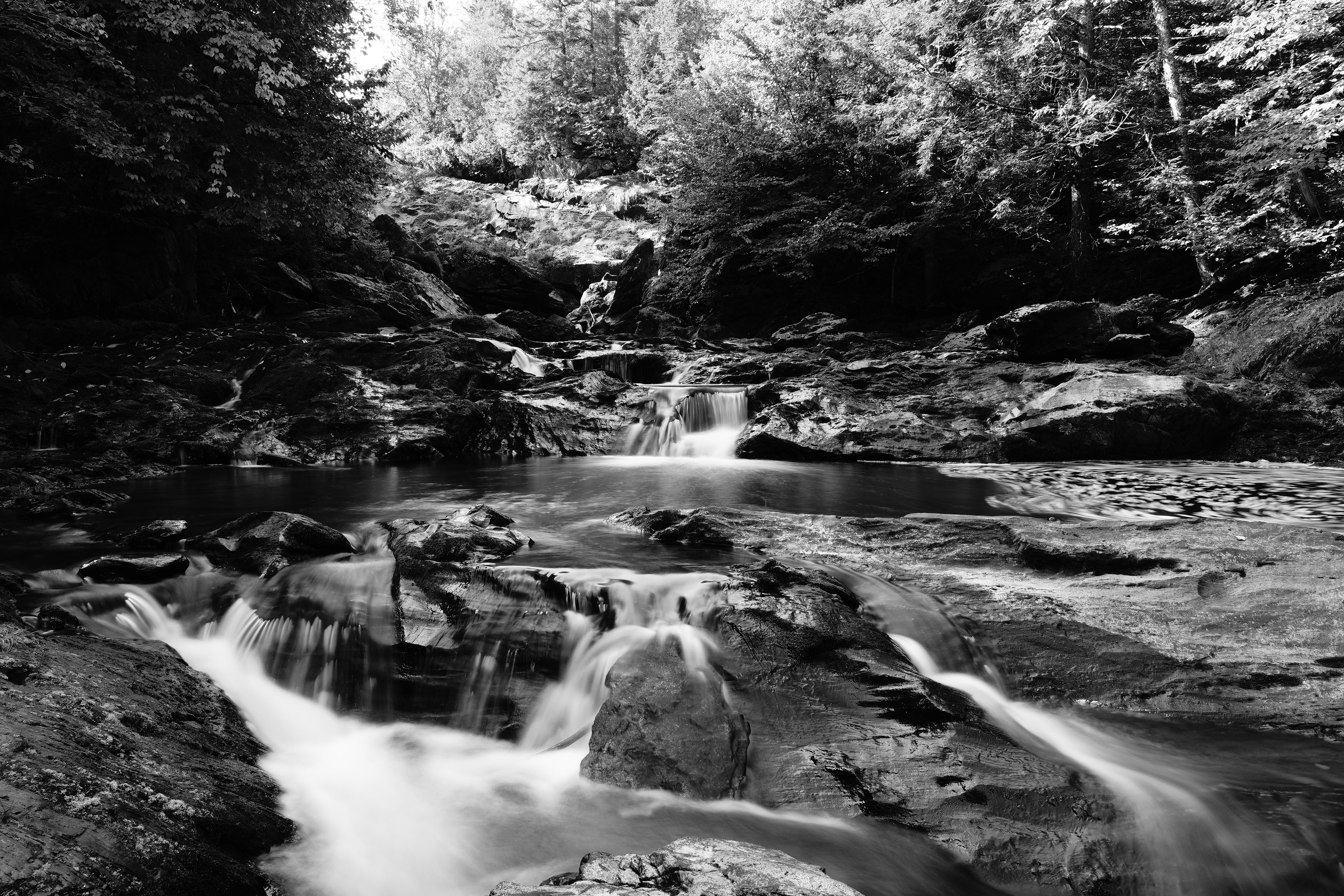 Coup de Coeur - Noir et Blanc 2022