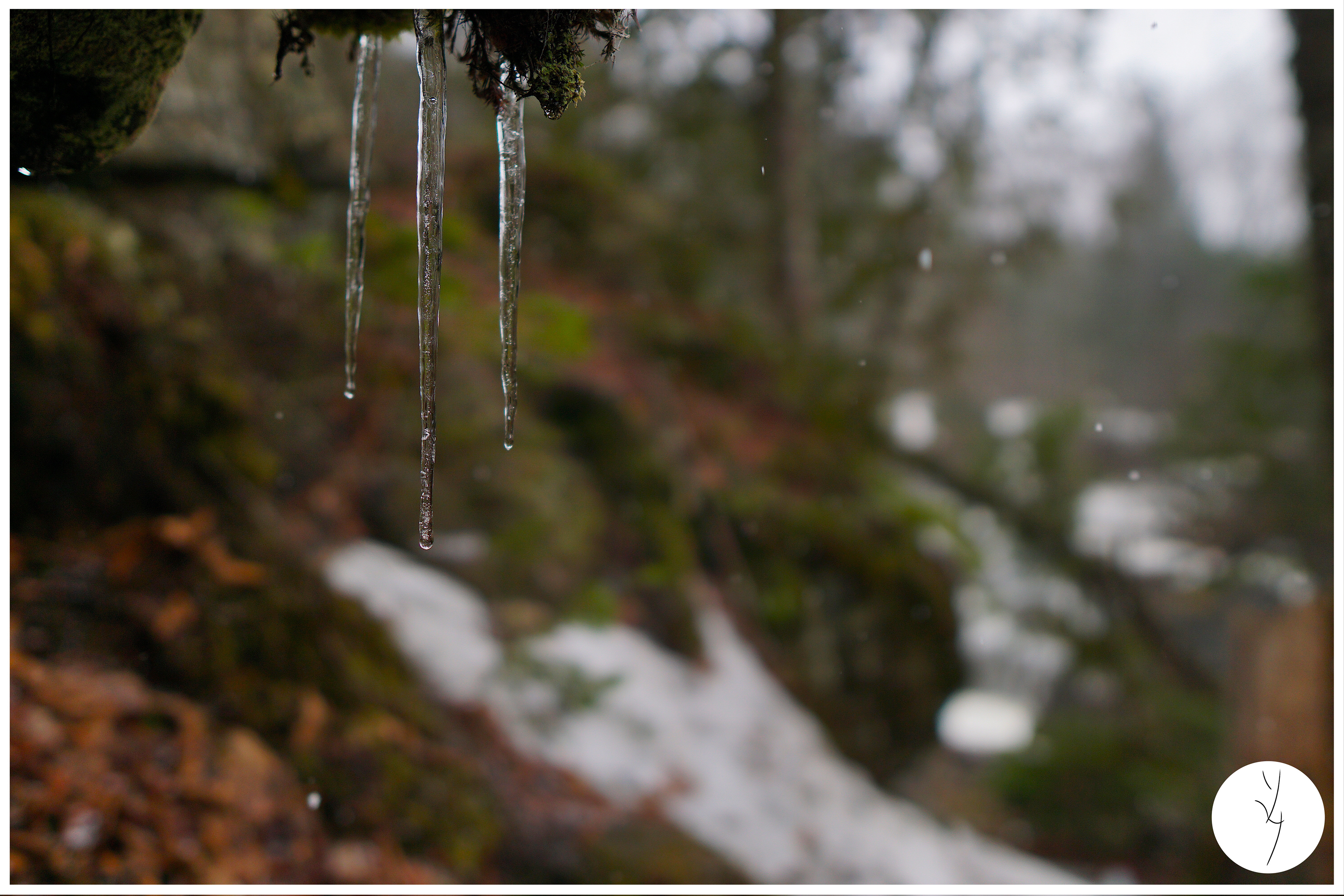 Sentier des Cascades - Ham Nord - Avril 2022