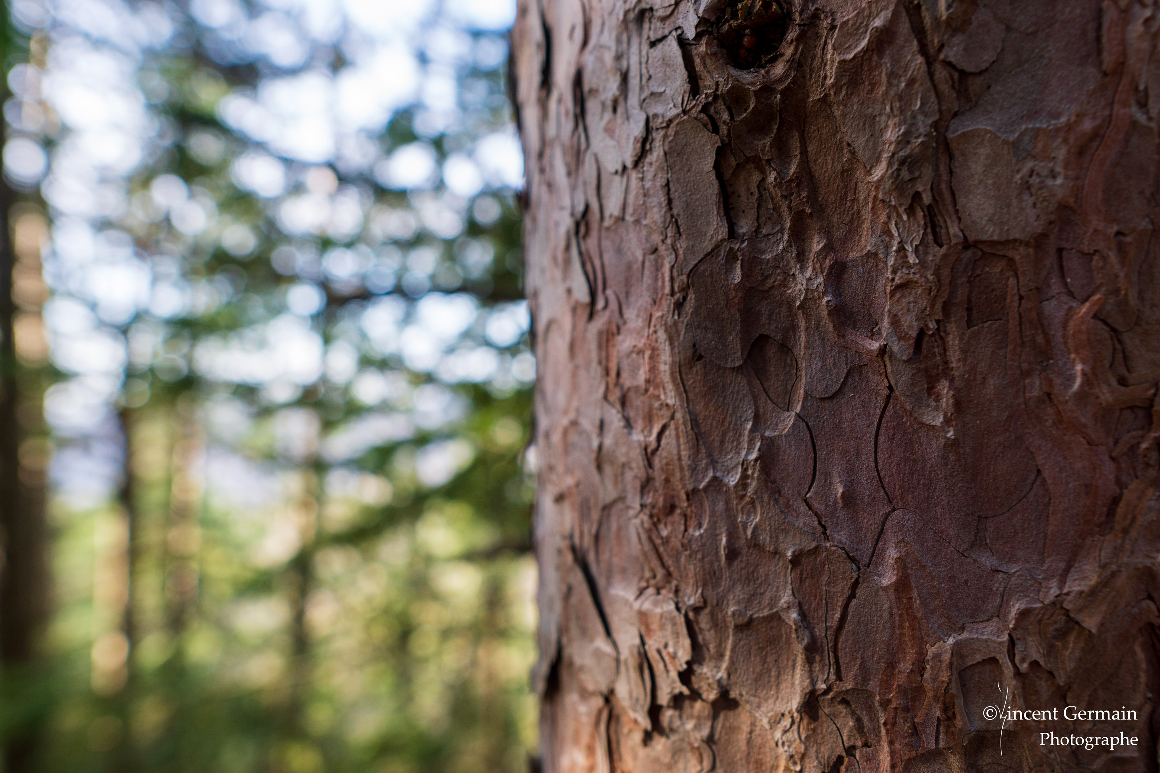 Sentier National Père Jacques Buteux