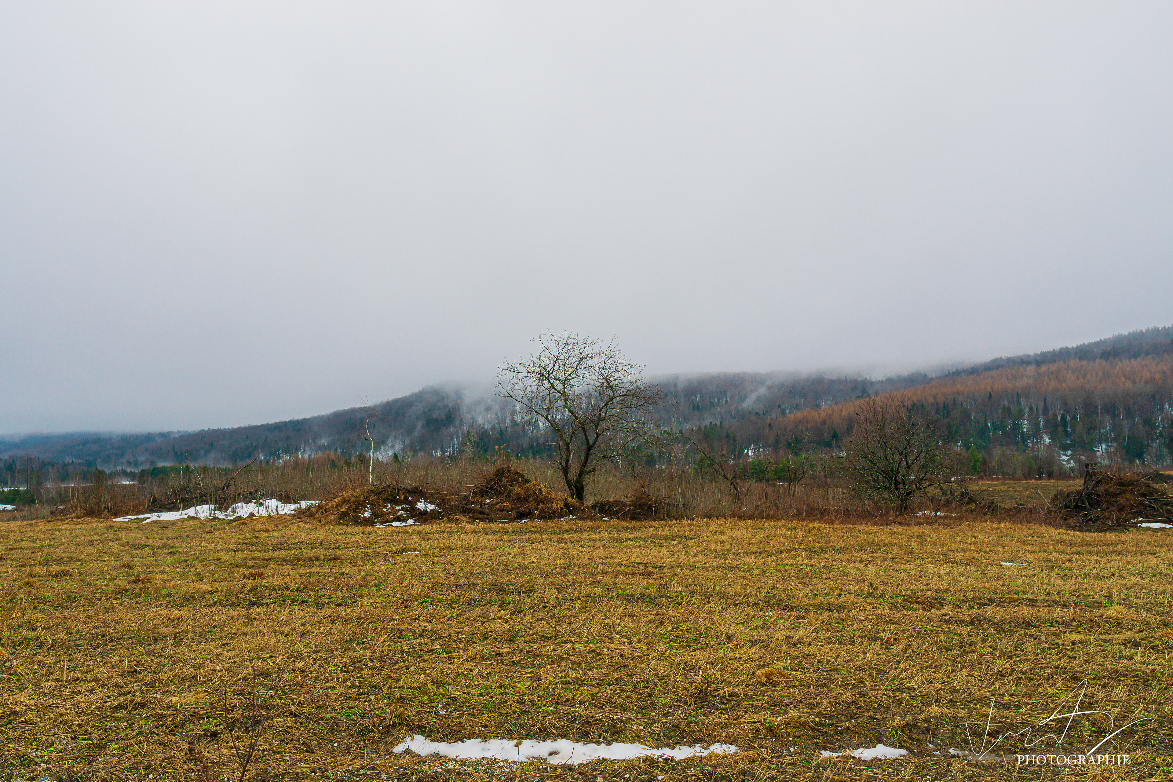 Un printemps Irlandais