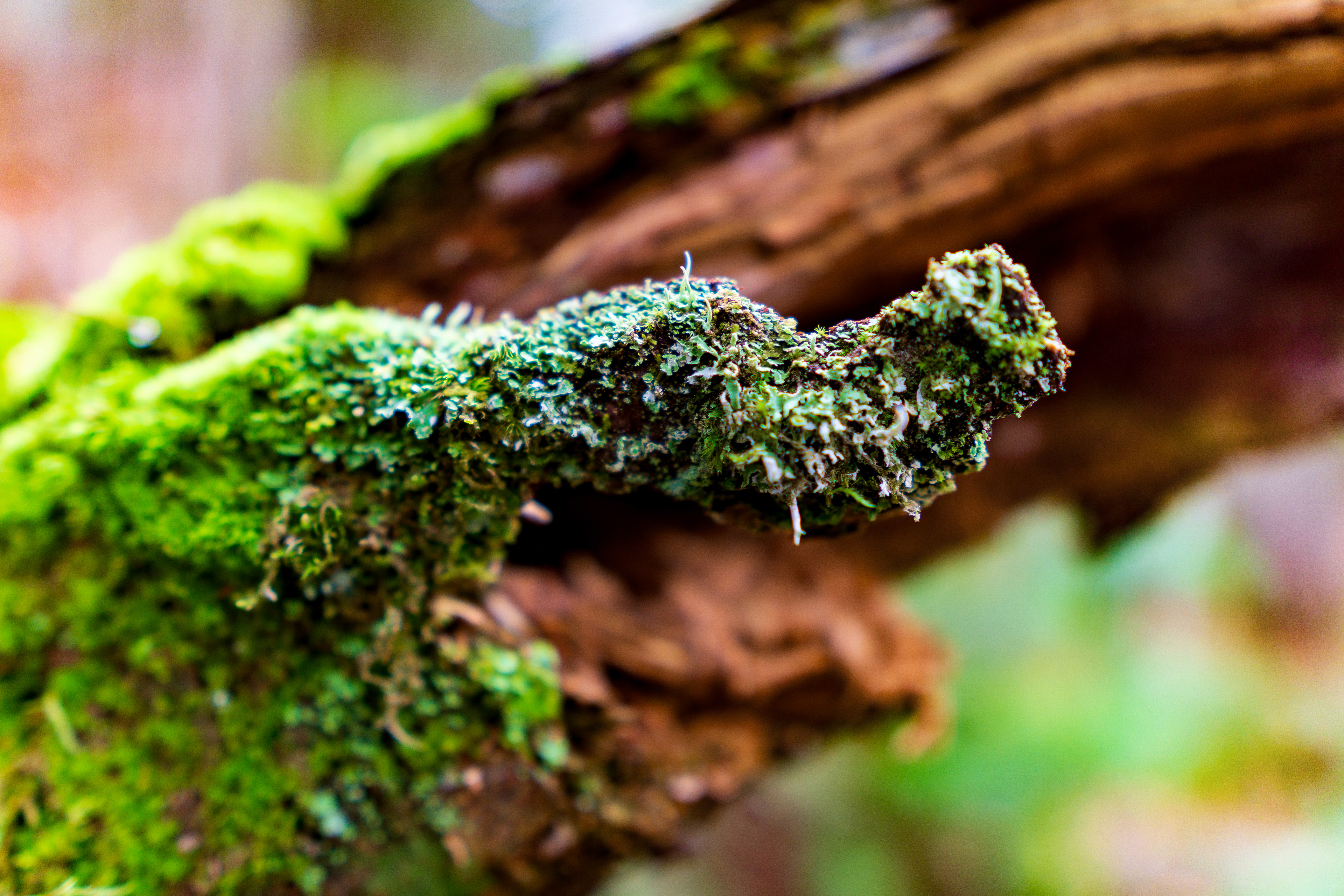 Parc des Chutes de Montauban
