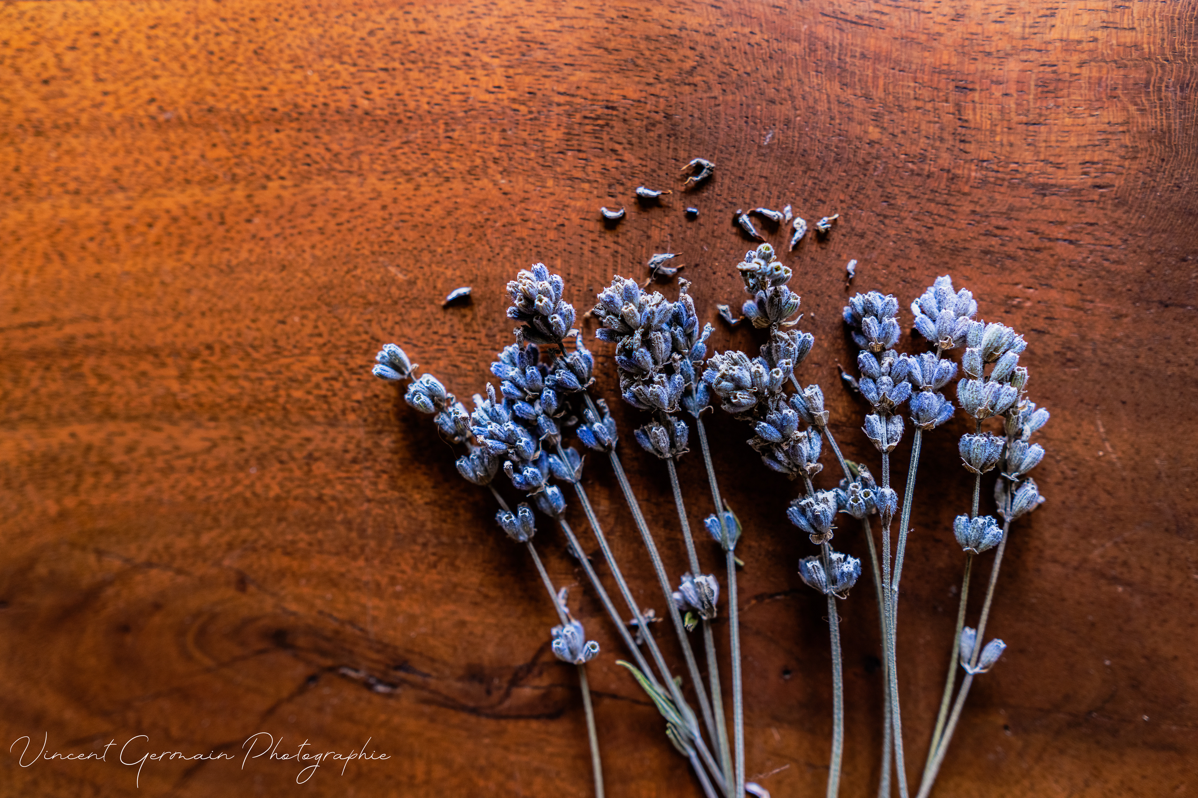 Lavande et Bois