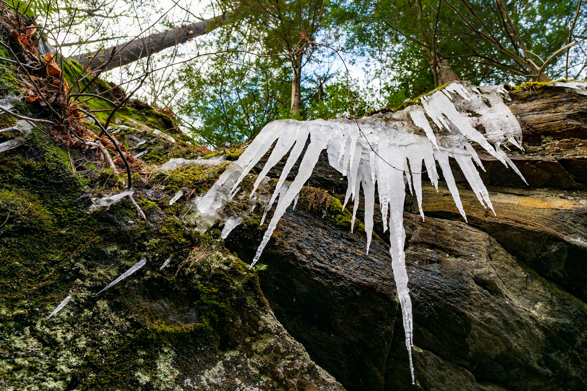 Rivière Batiscan (Saint-Narcisse)