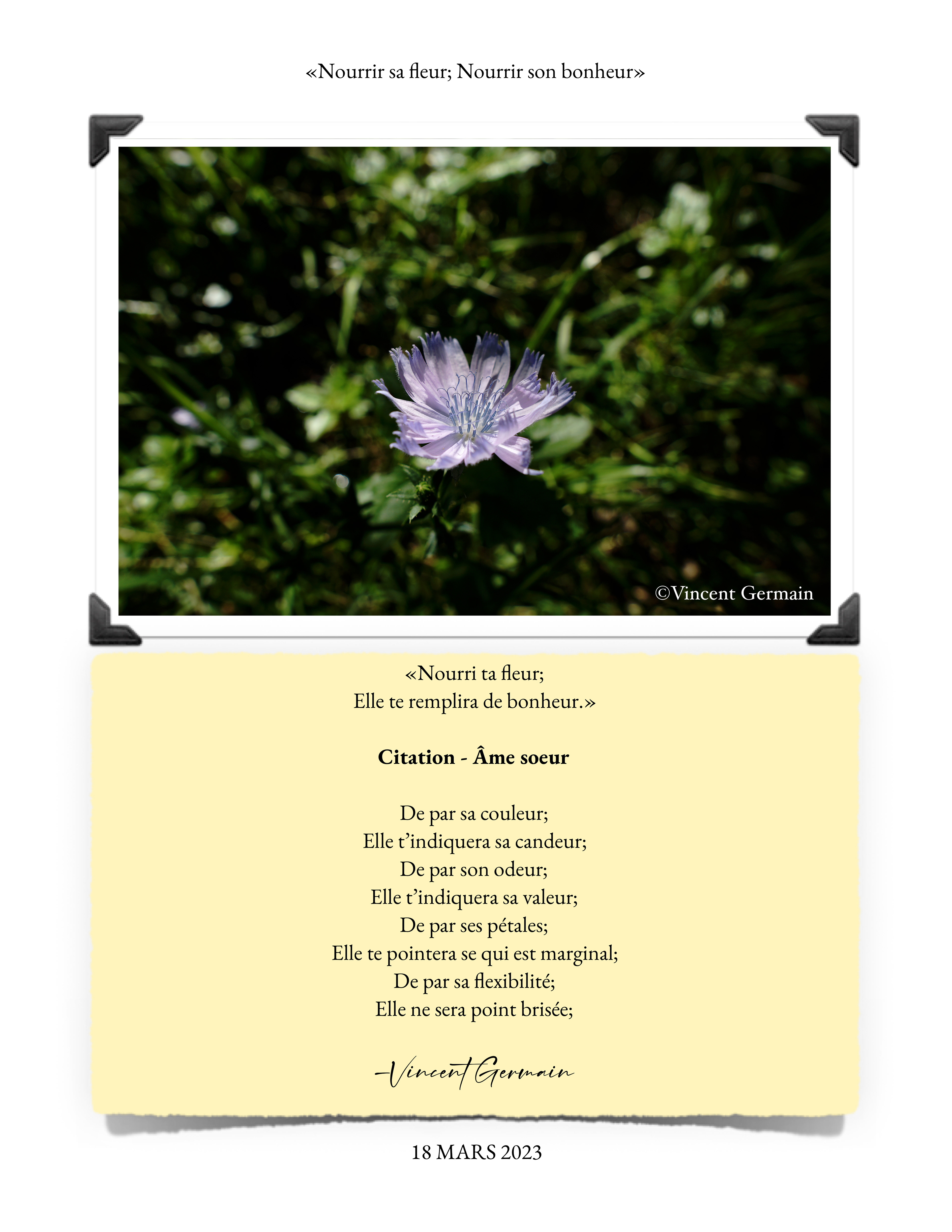 Citation - Âme soeur