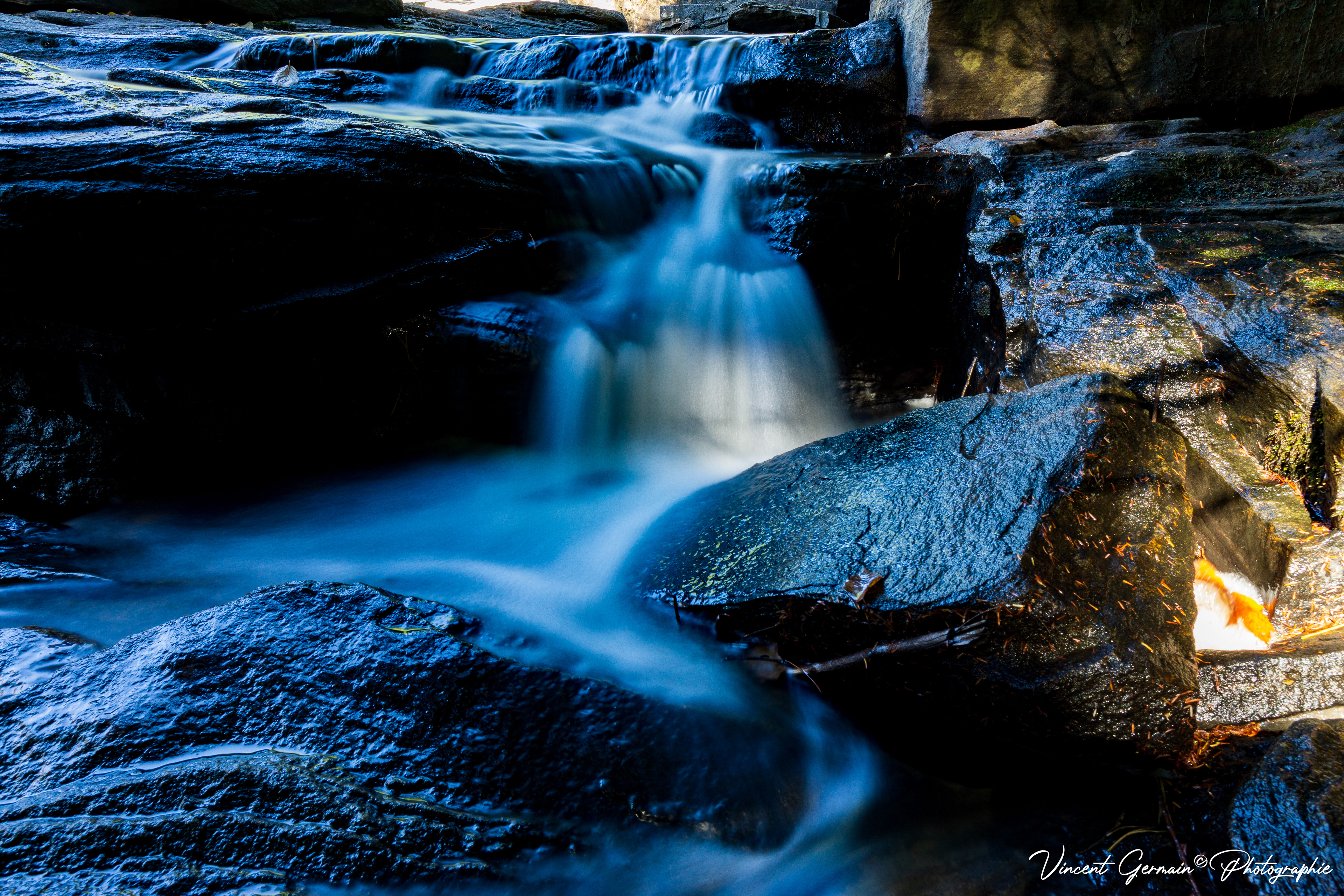 Sentier - Le Lièvre