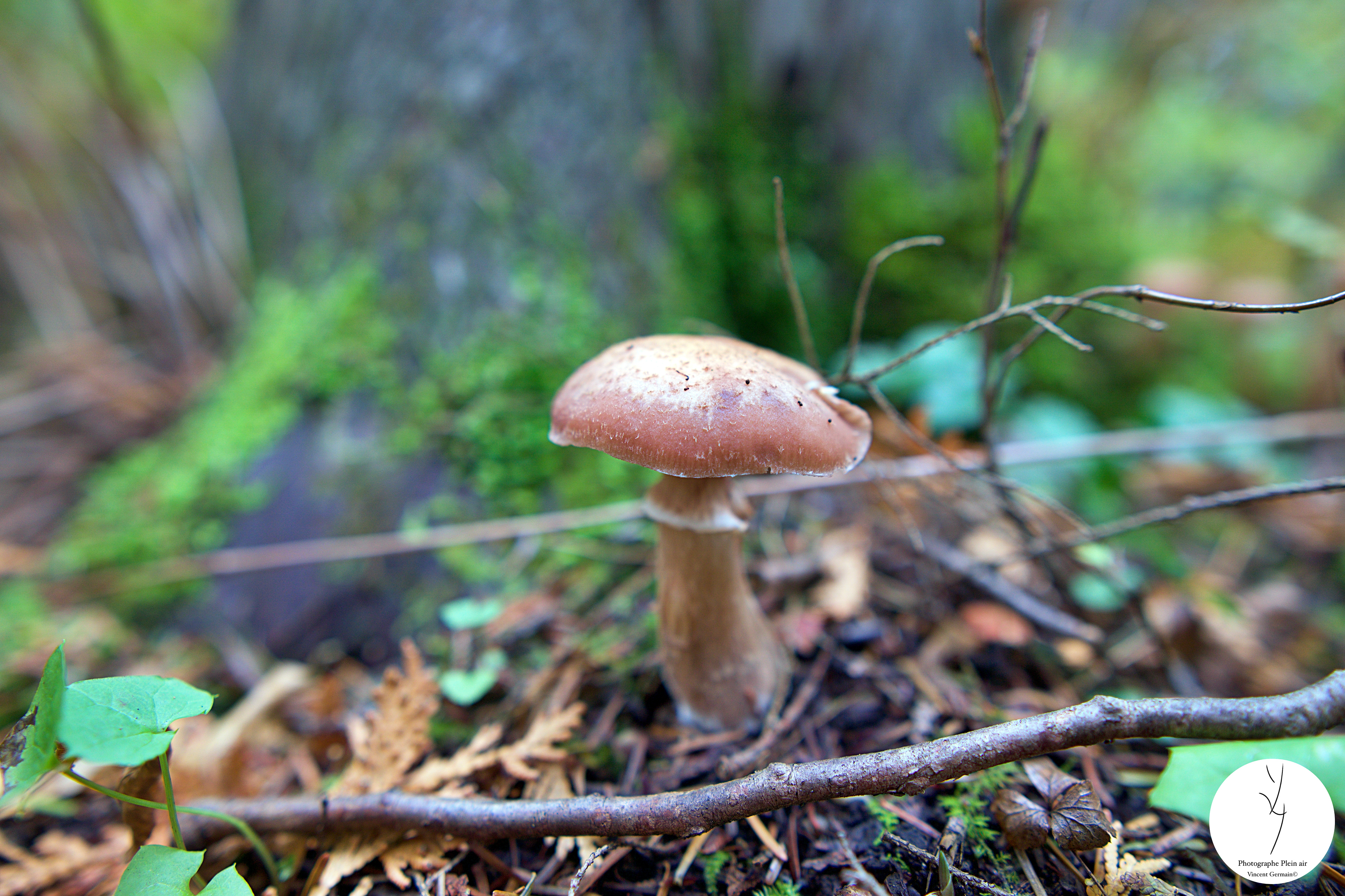  - Étang Burbank Octobre 2023