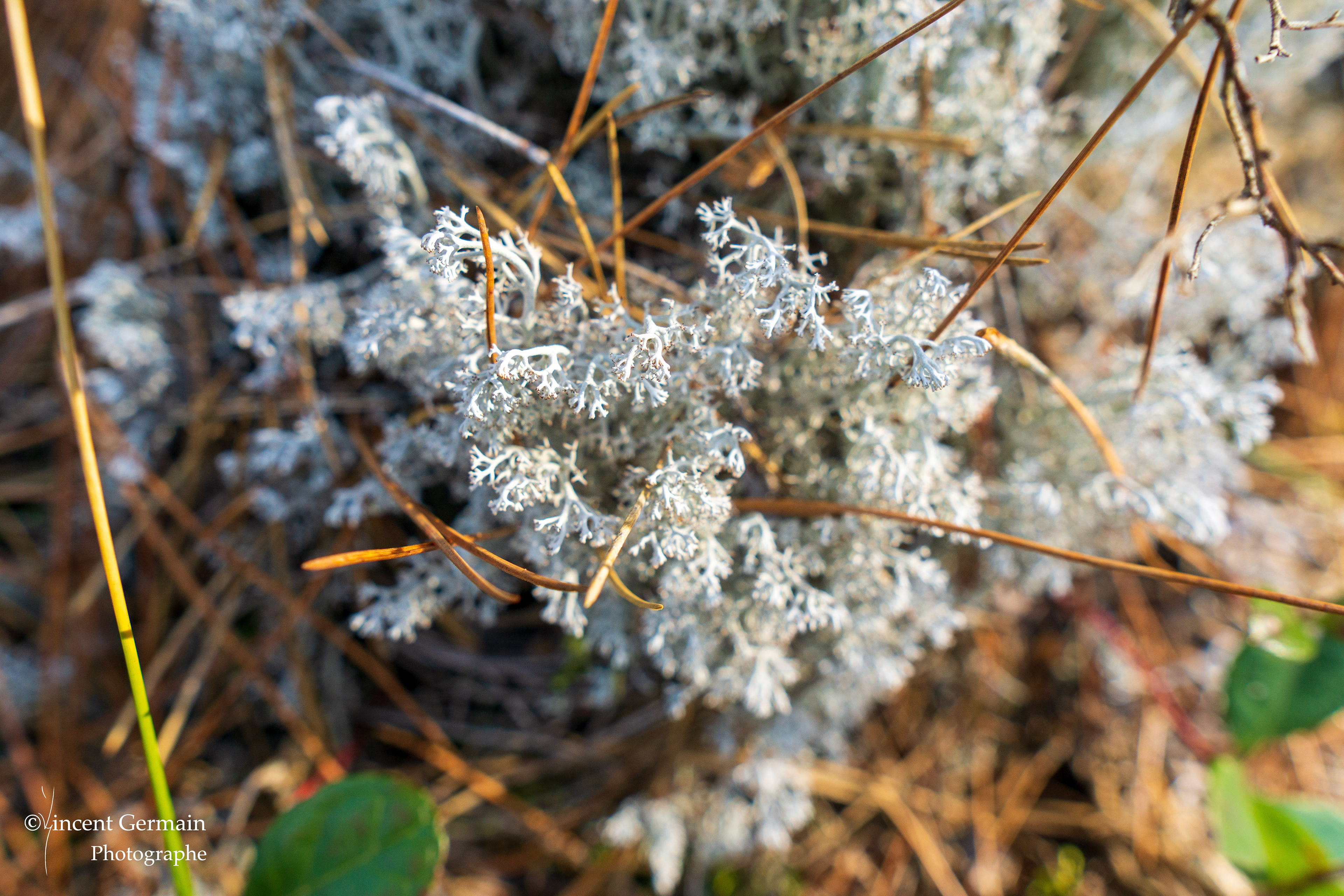 Sentier National Père Jacques Buteux