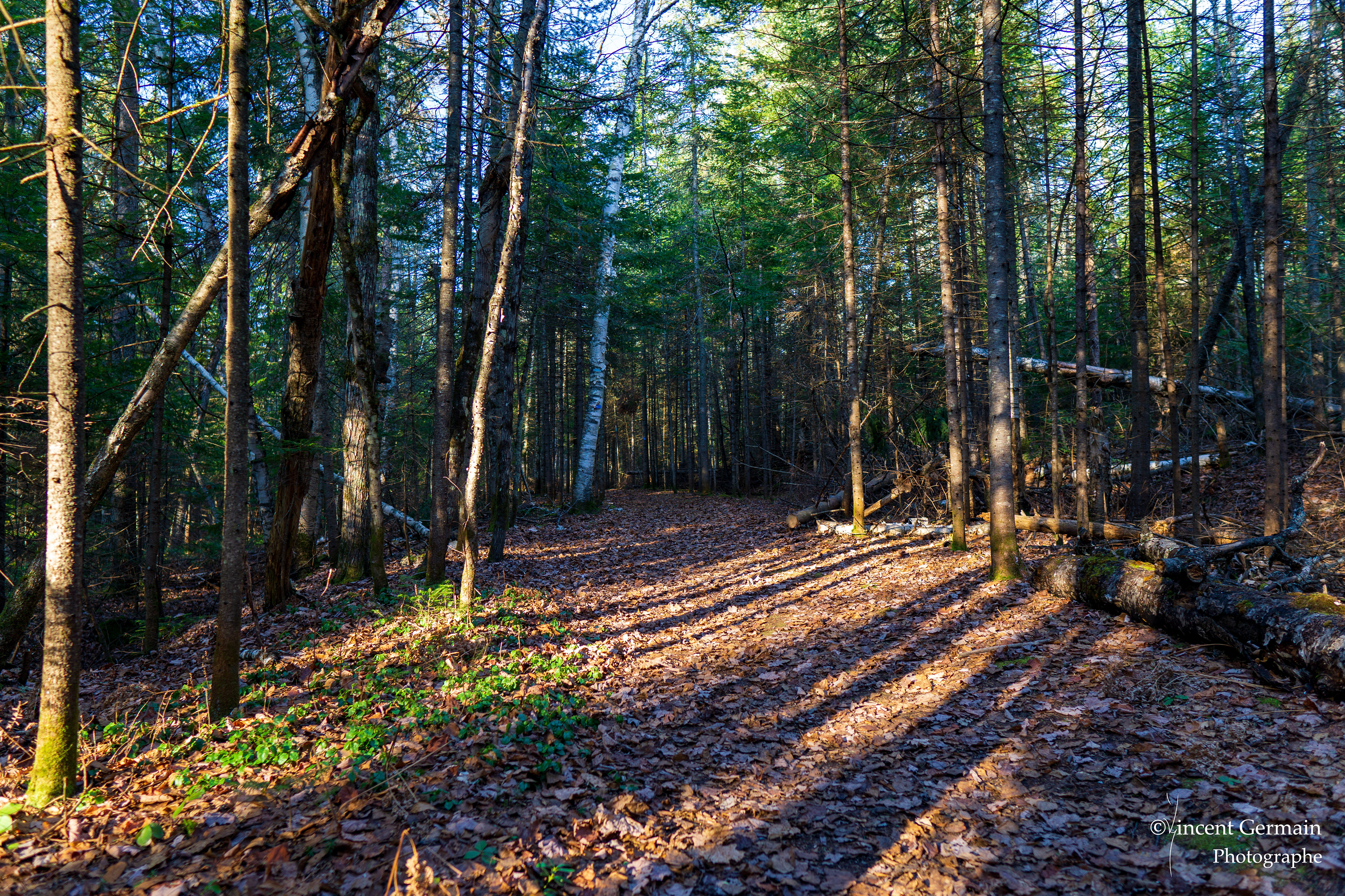 Sentier National Père Jacques Buteux
