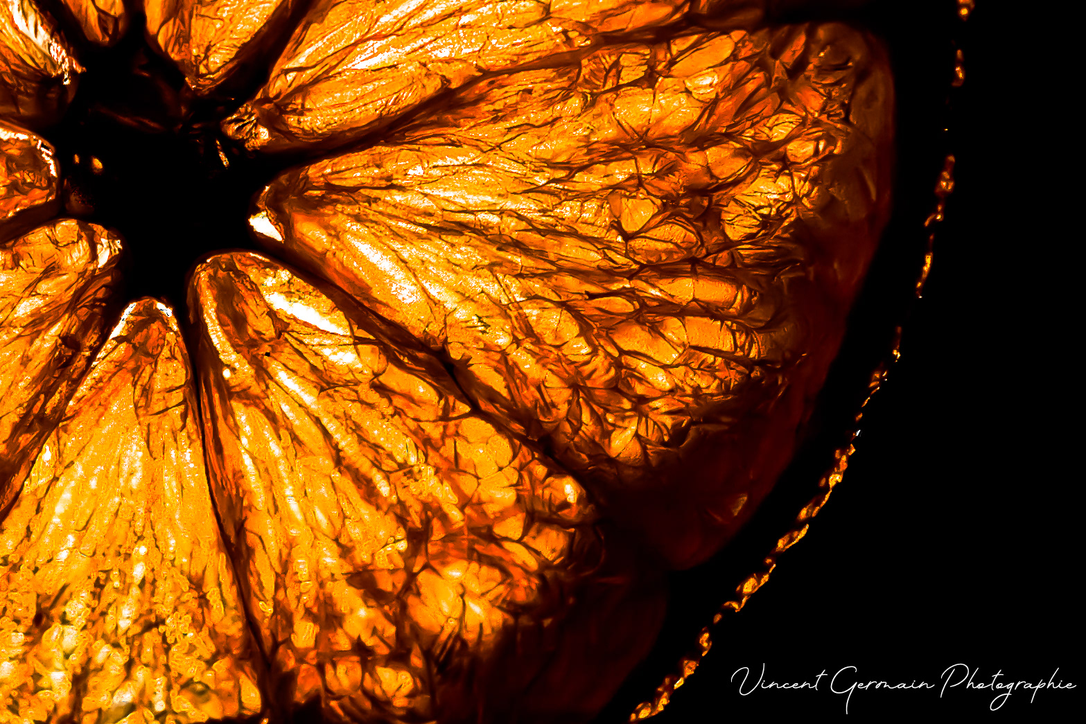 Tranche d'orange et lumière