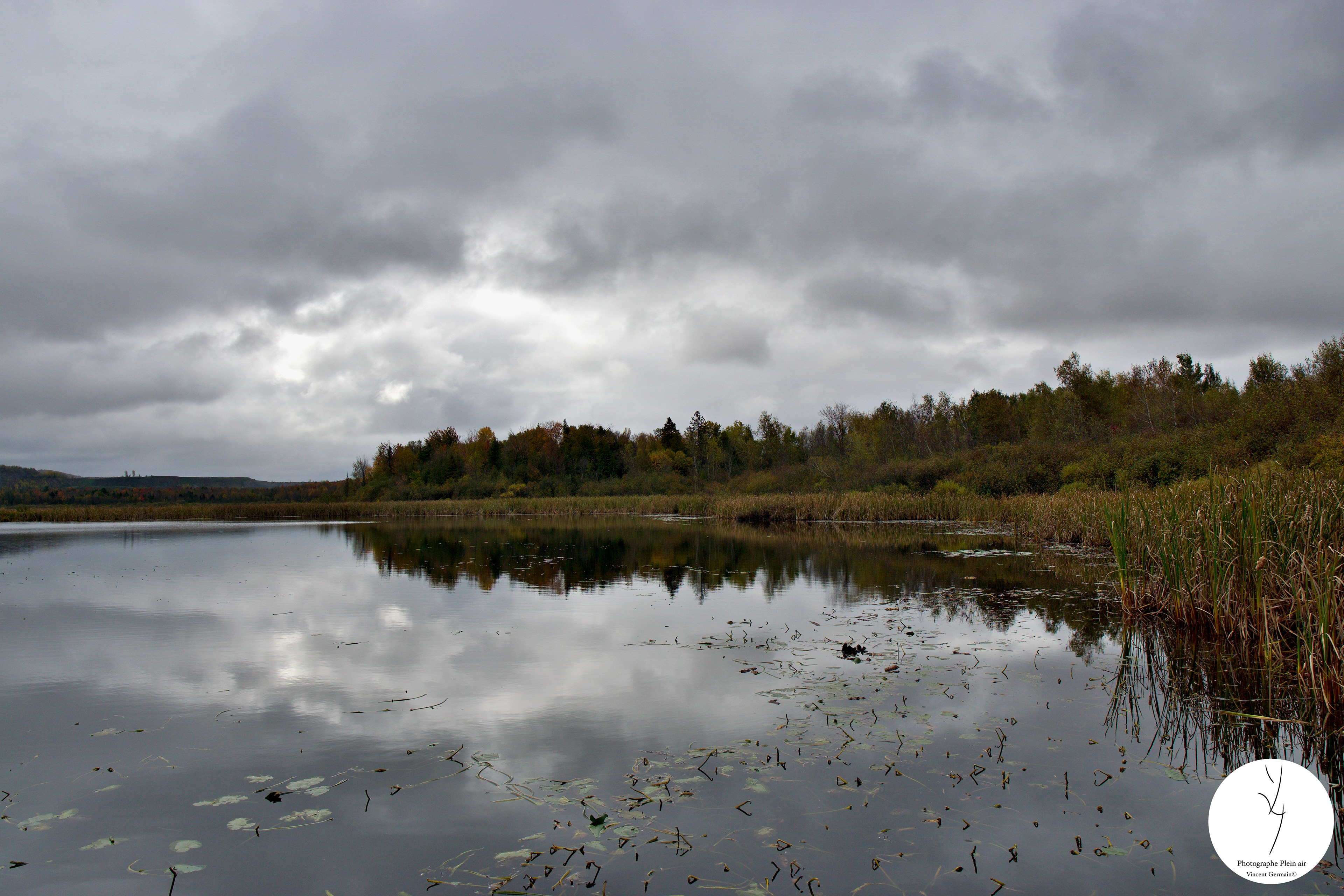 Étang - Étang Burbank Octobre 2023