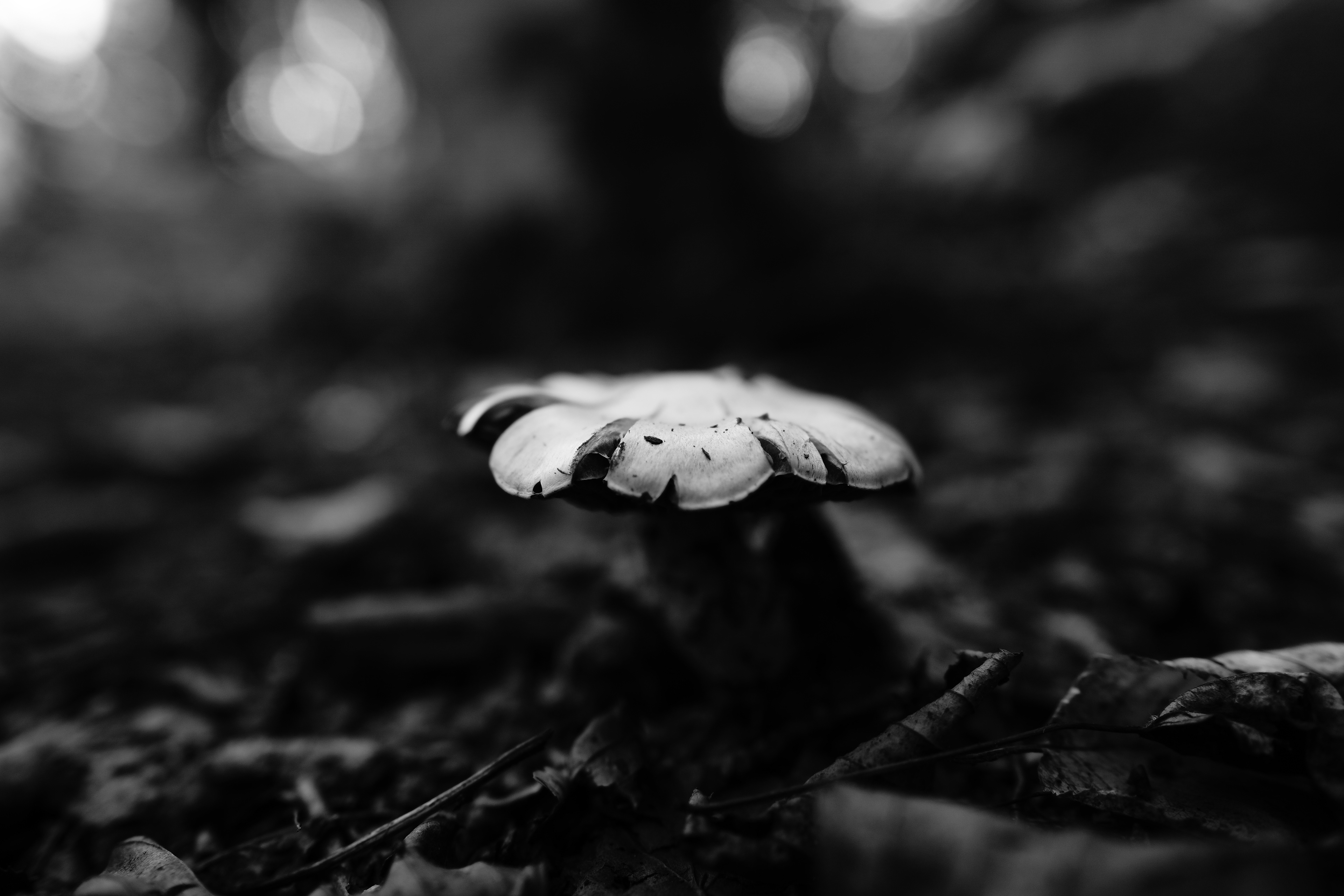 Coup de coeur - Noir et Blanc 2022