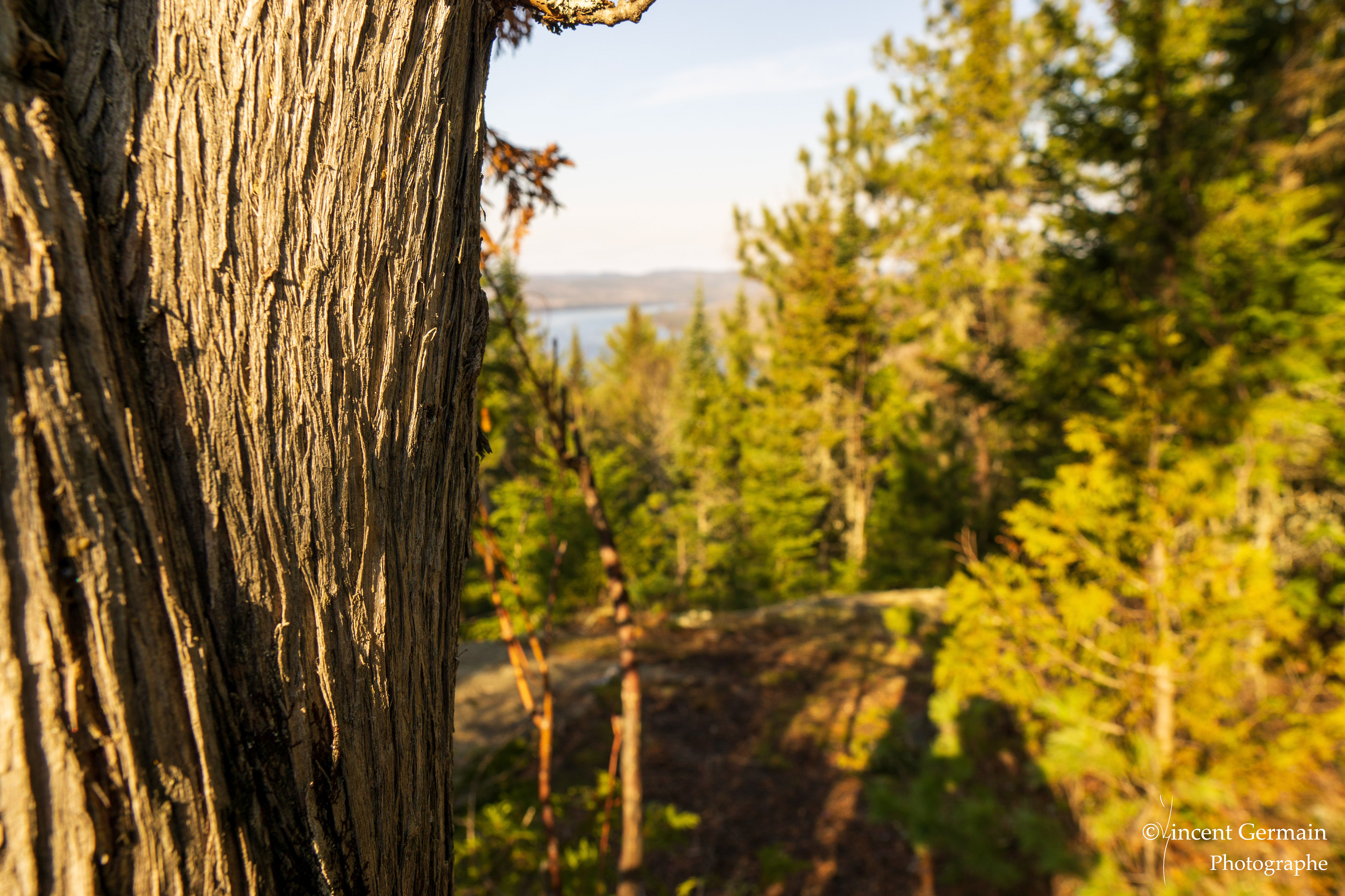 Sentier National Père Jacques Buteux