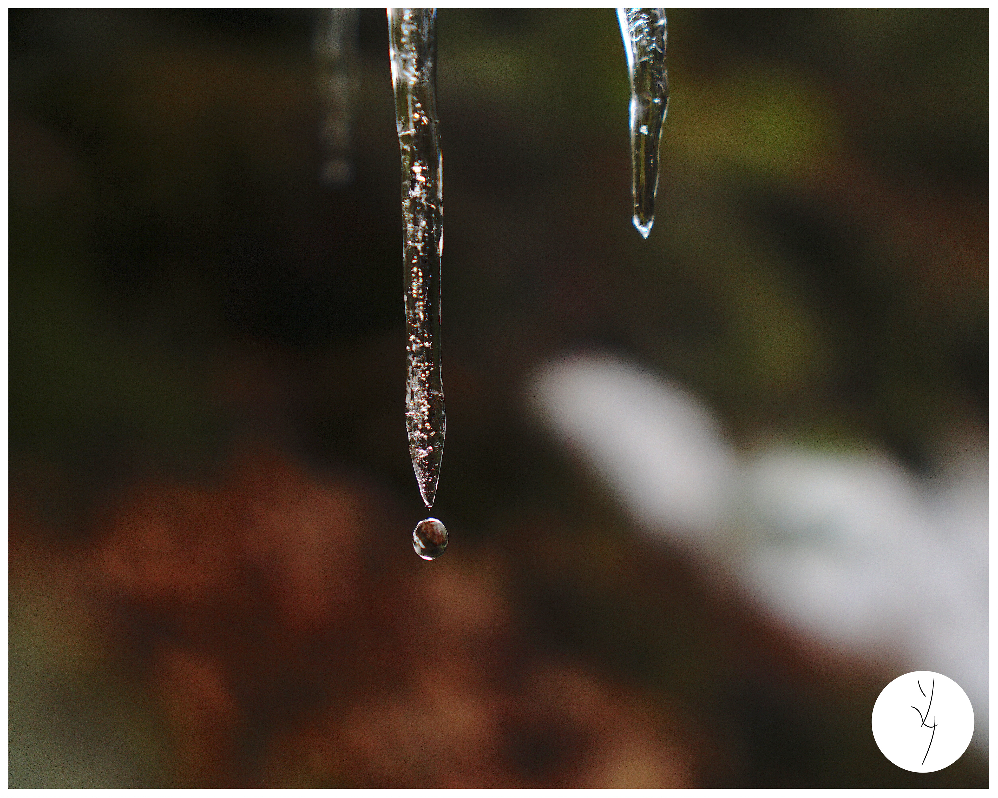 Sentier des Cascades - Ham Nord - Avril 2022