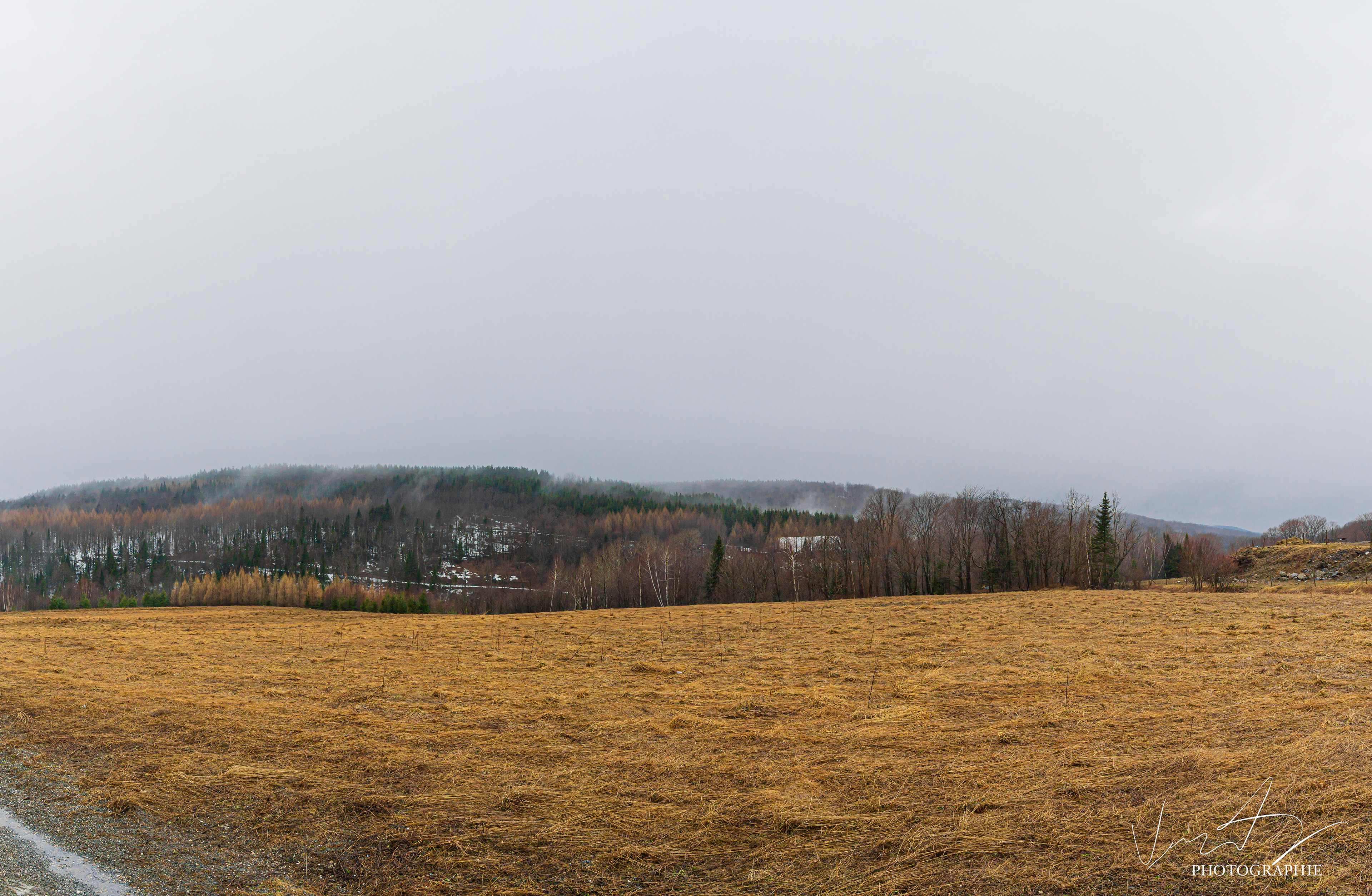 Un printemps Irlandais