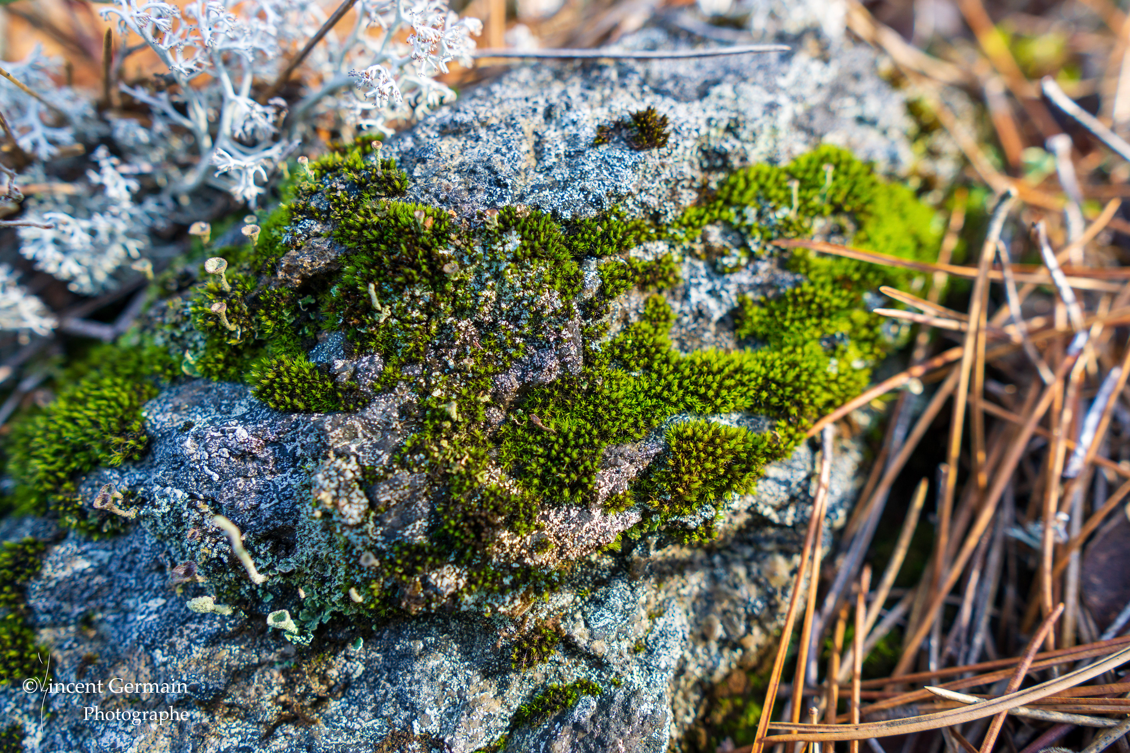 Sentier National Père Jacques Buteux