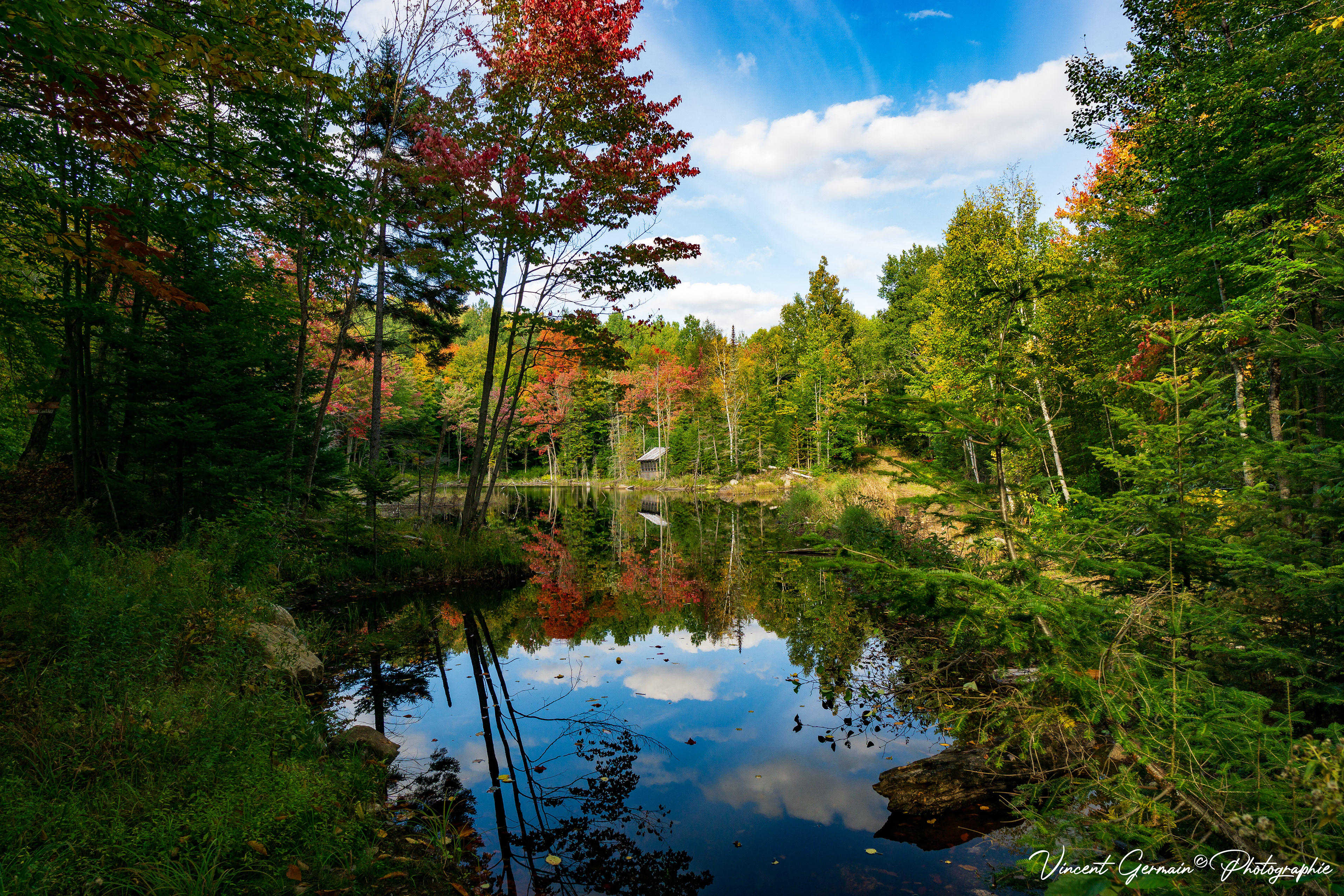 Cabane à Observation des Castors - 2