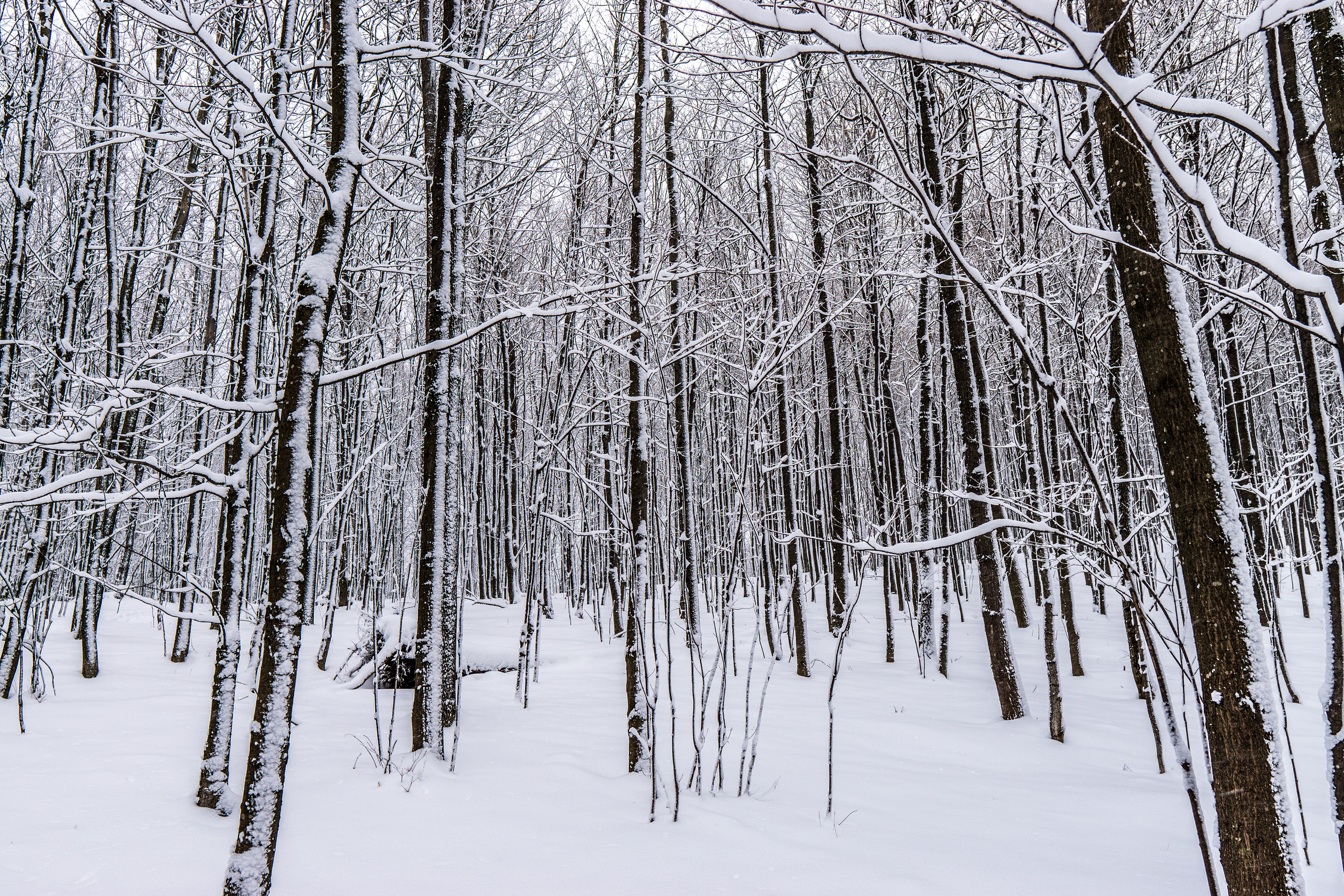 Un des lieux auquel m'est dédié à méditer