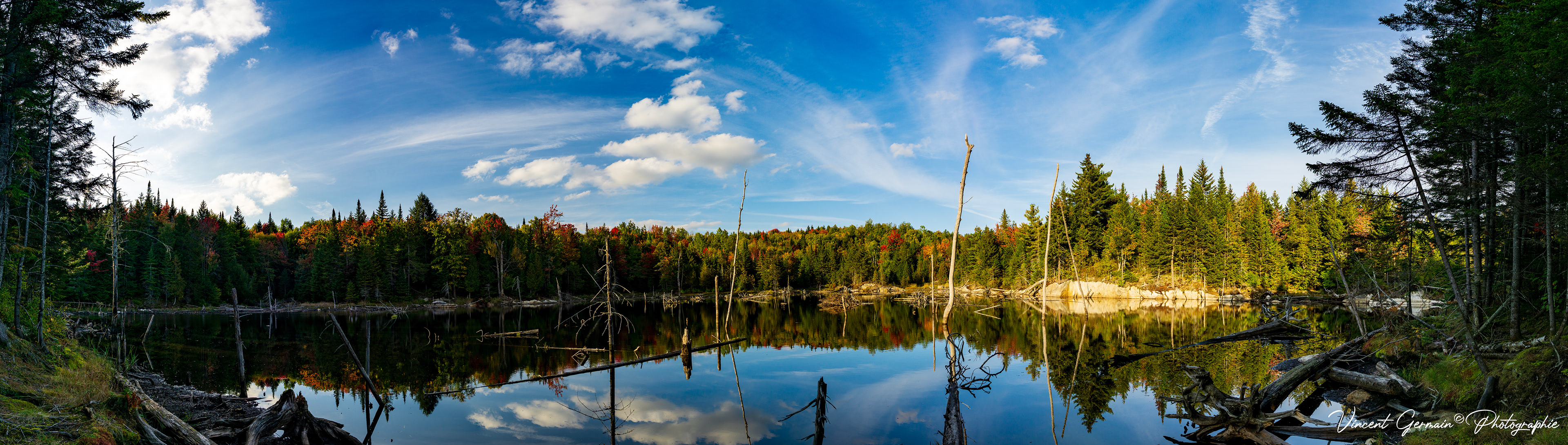 Interprétation du castor