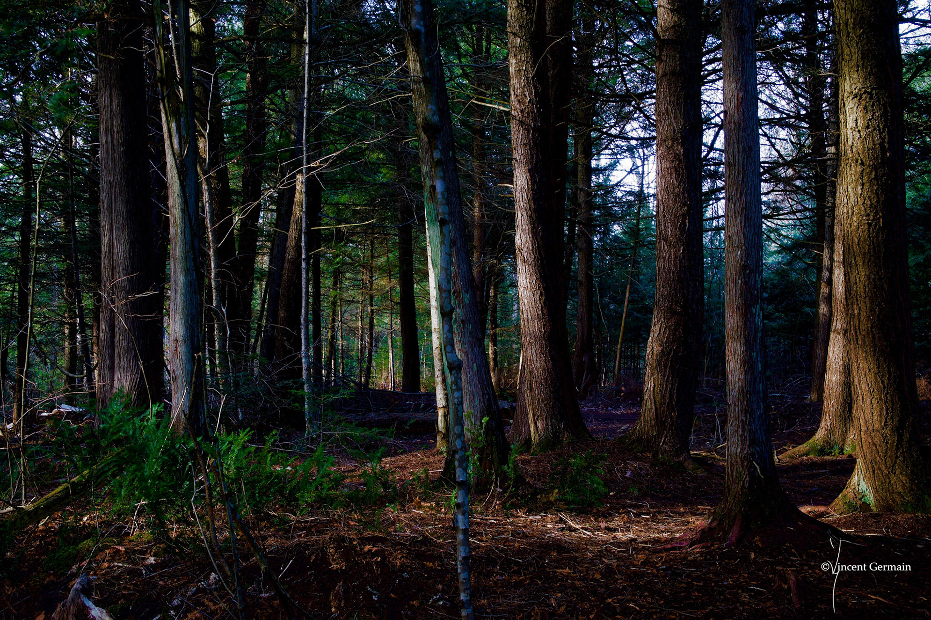 Parc de la Rivière Gentilly