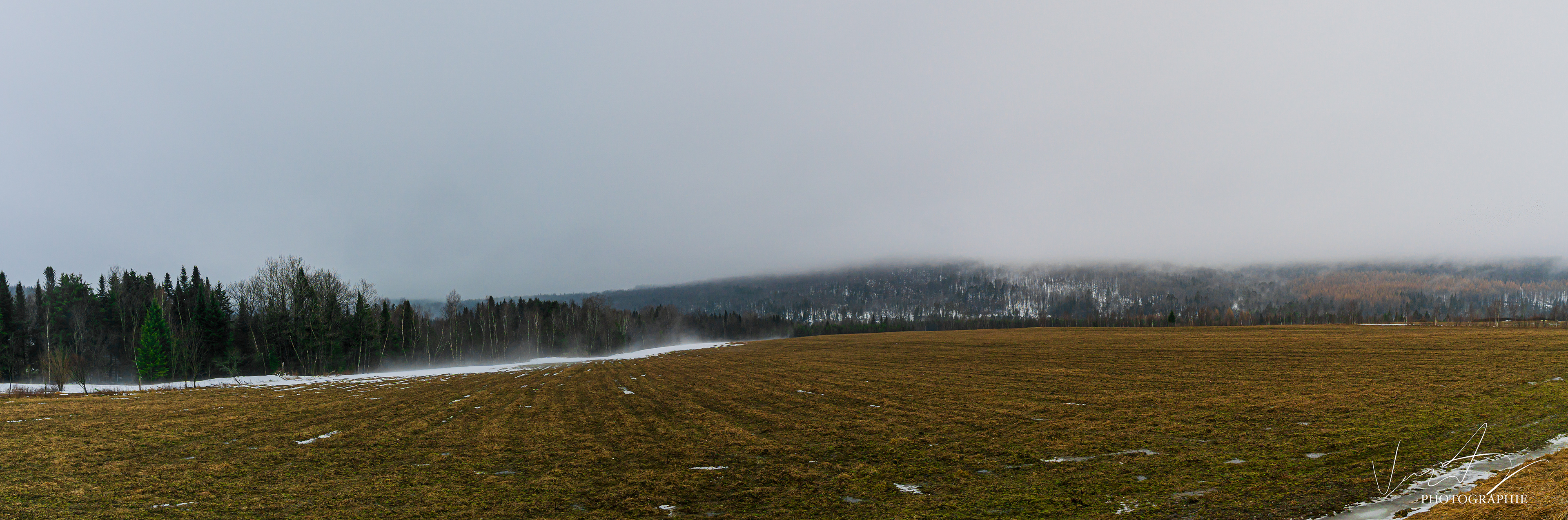 Un printemps Irlandais