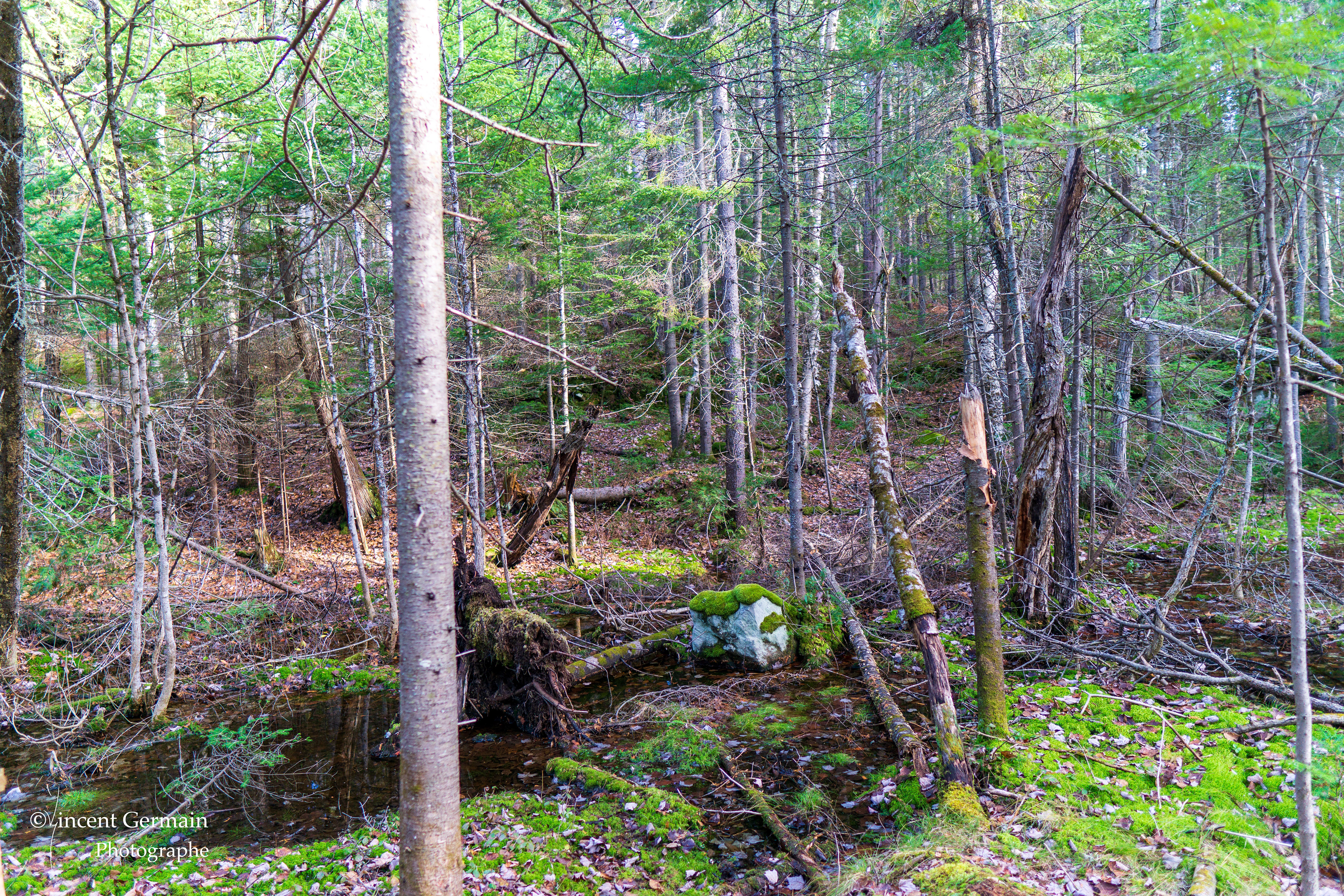 Sentier National Père Jacques Buteux