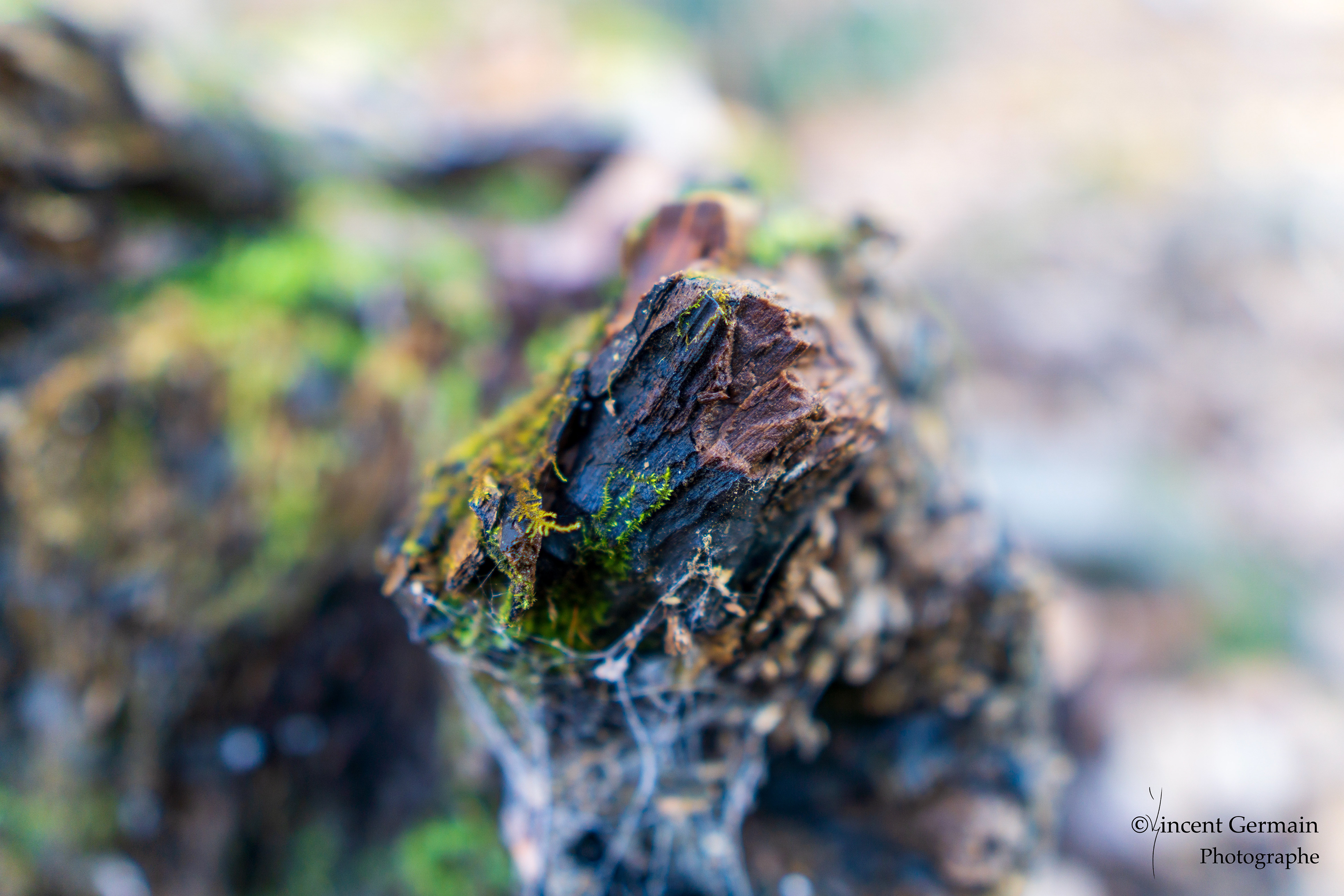 Sentier National Père Jacques Buteux