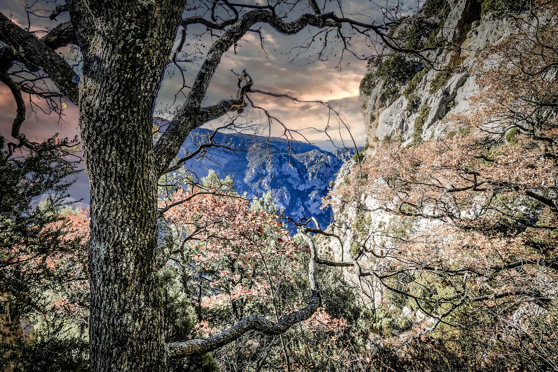 L'arbre vivant