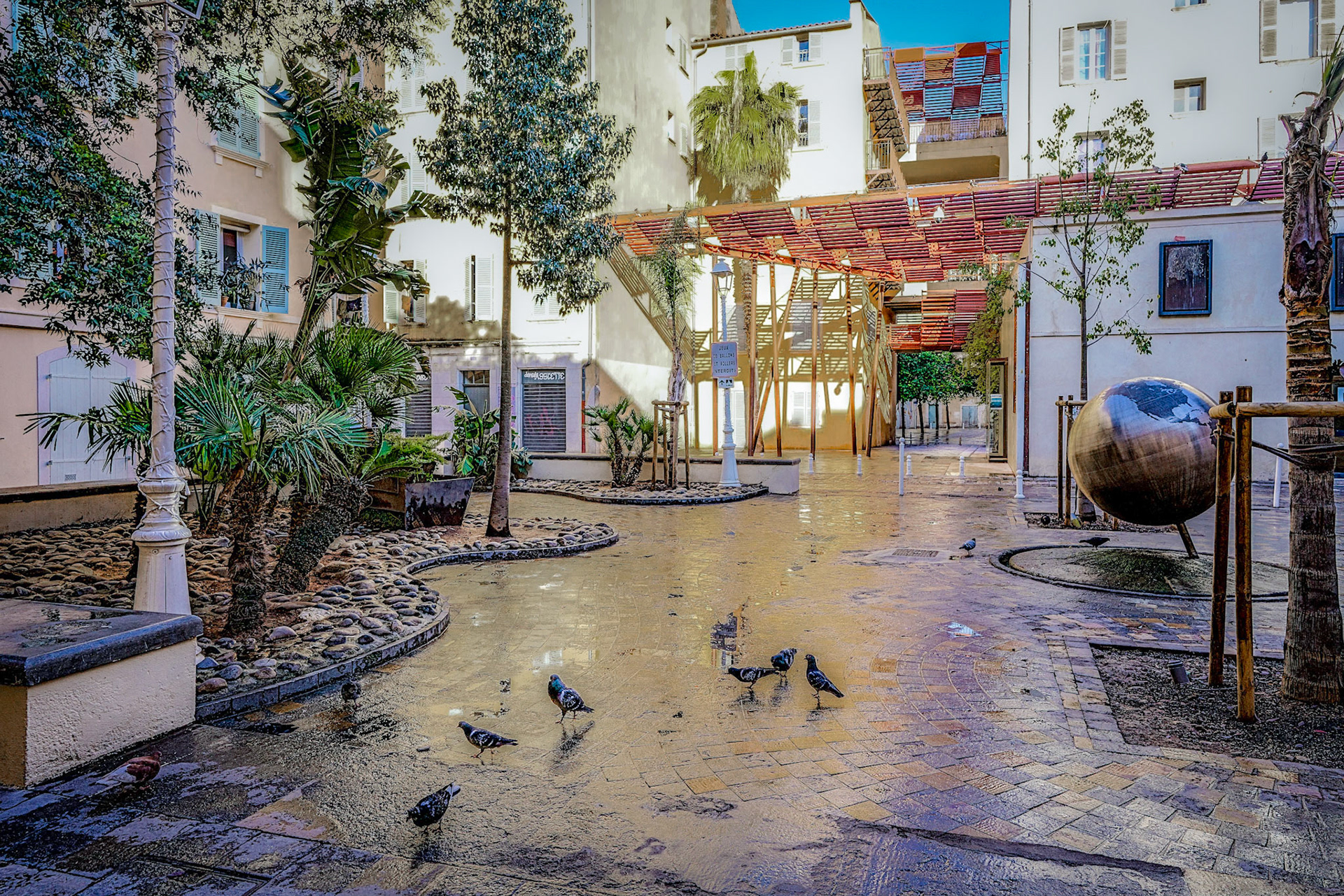 Pigeons Place du globe