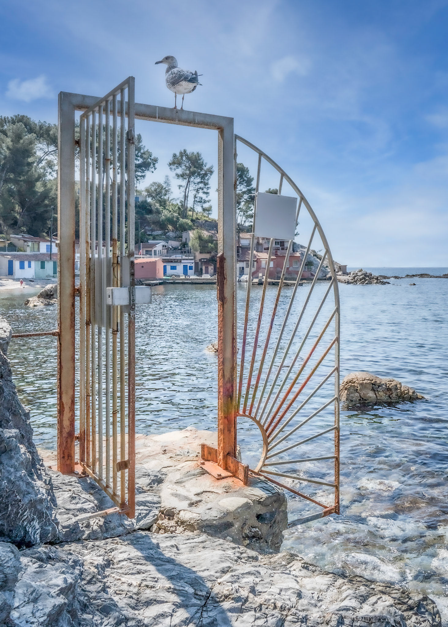 Le goéland à la porte