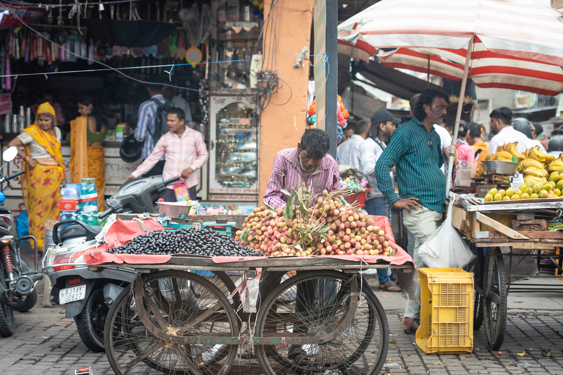 Lychees and Plums in Jaipur