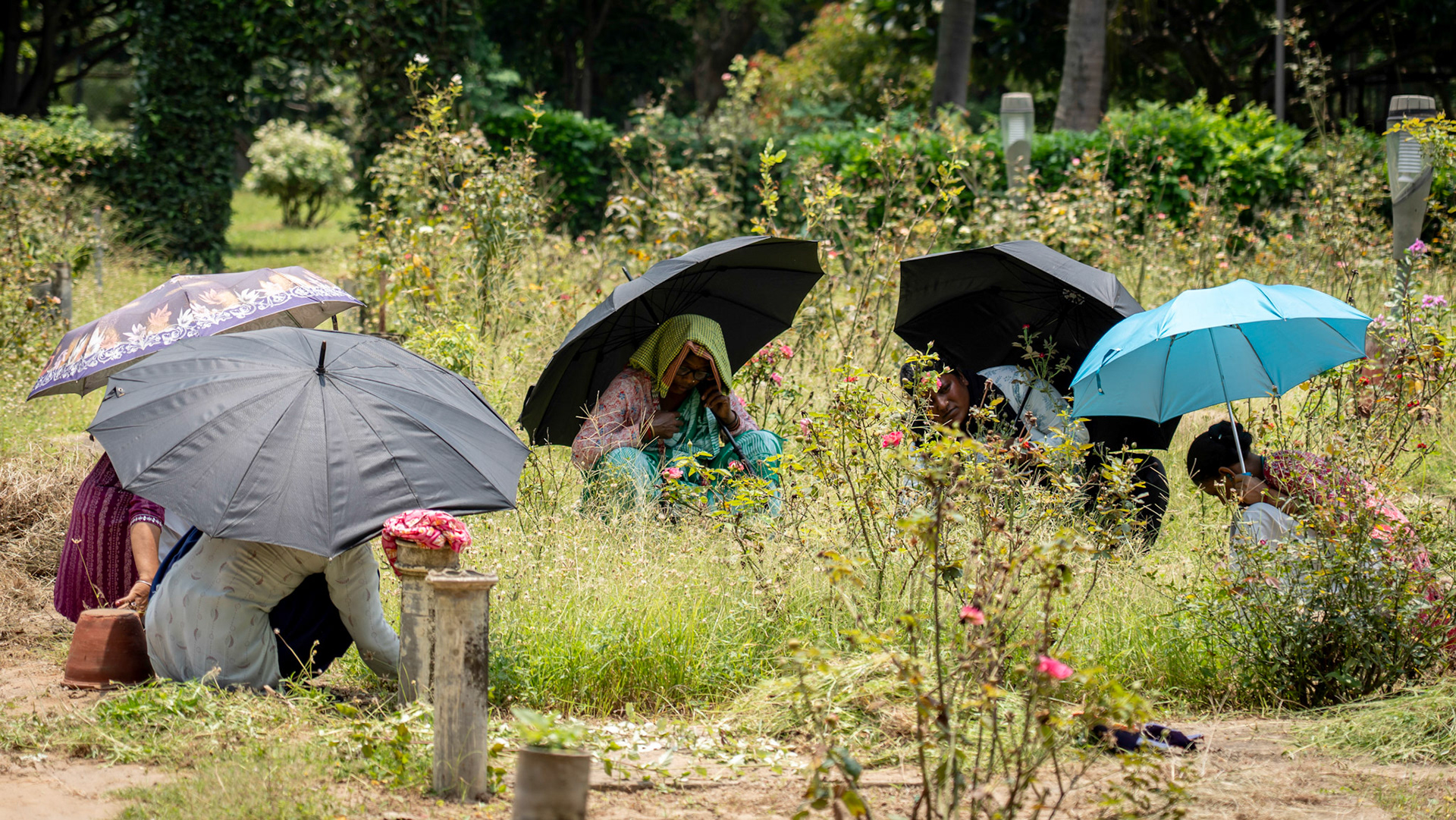 Gardeners in Santiniketan