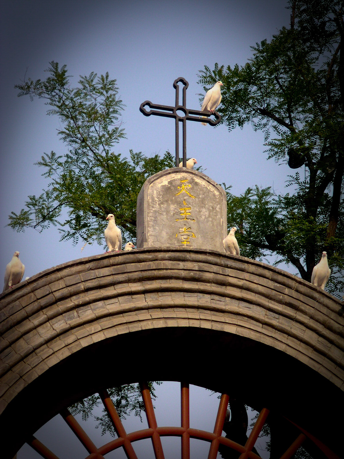 MINOLTA DIGITAL CAMERA