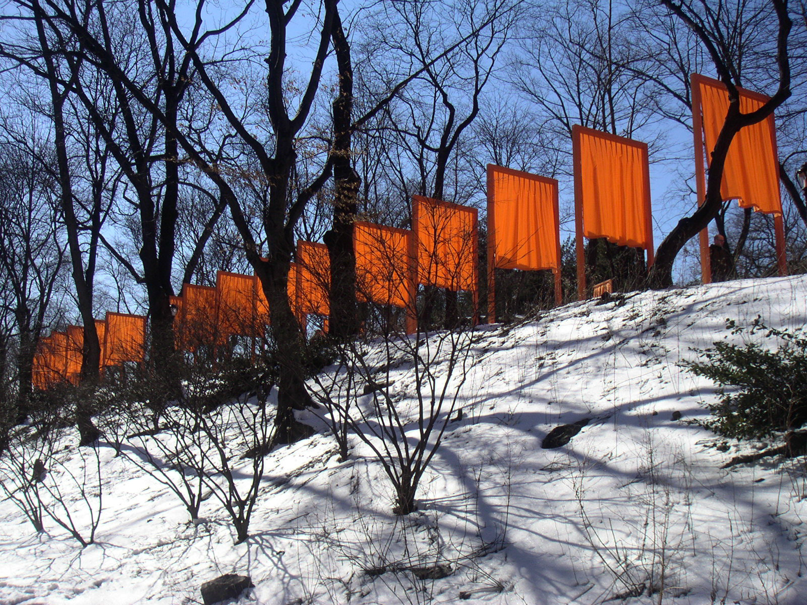 MINOLTA DIGITAL CAMERA