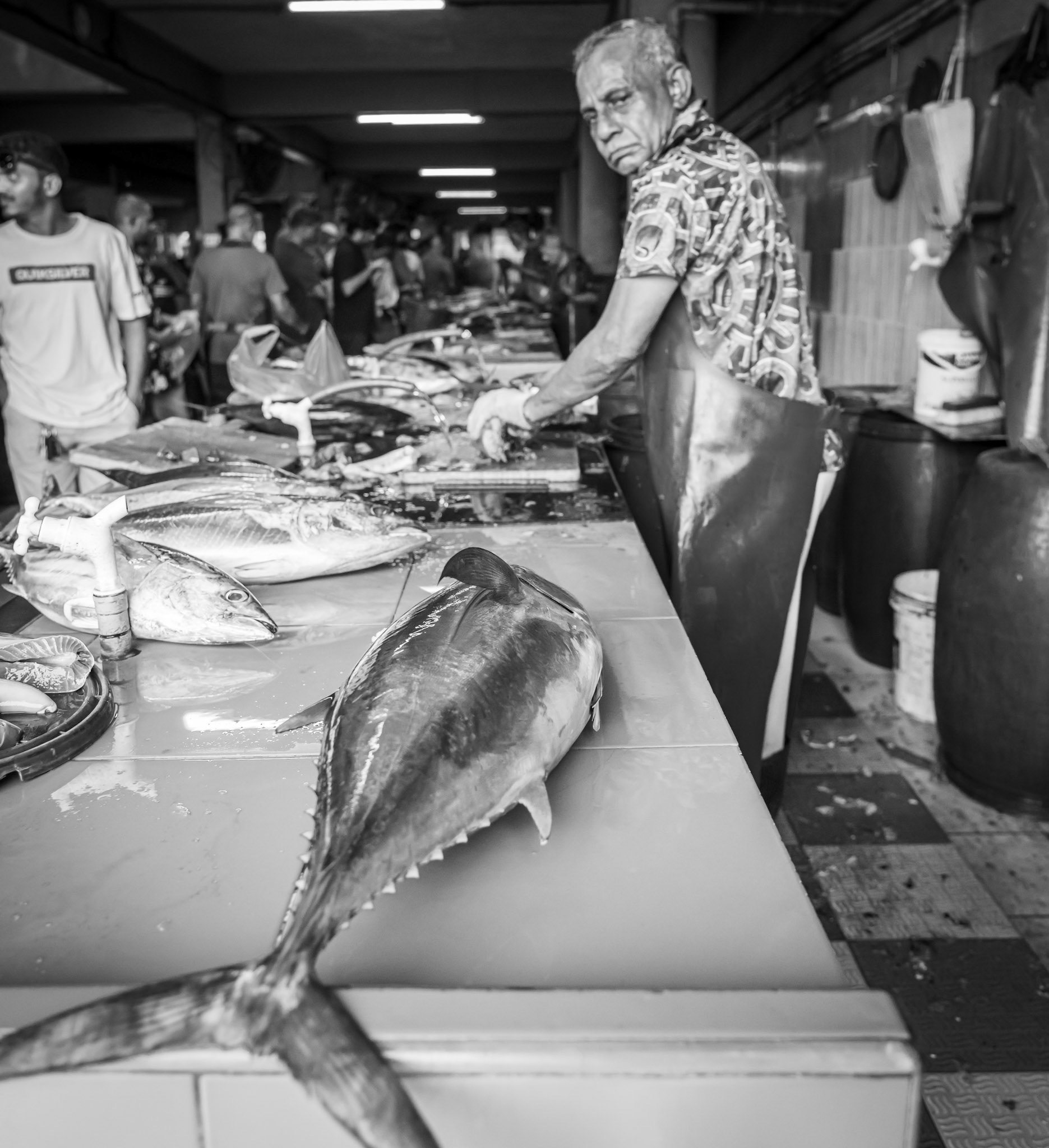 Yellowfin in Male, Maldives