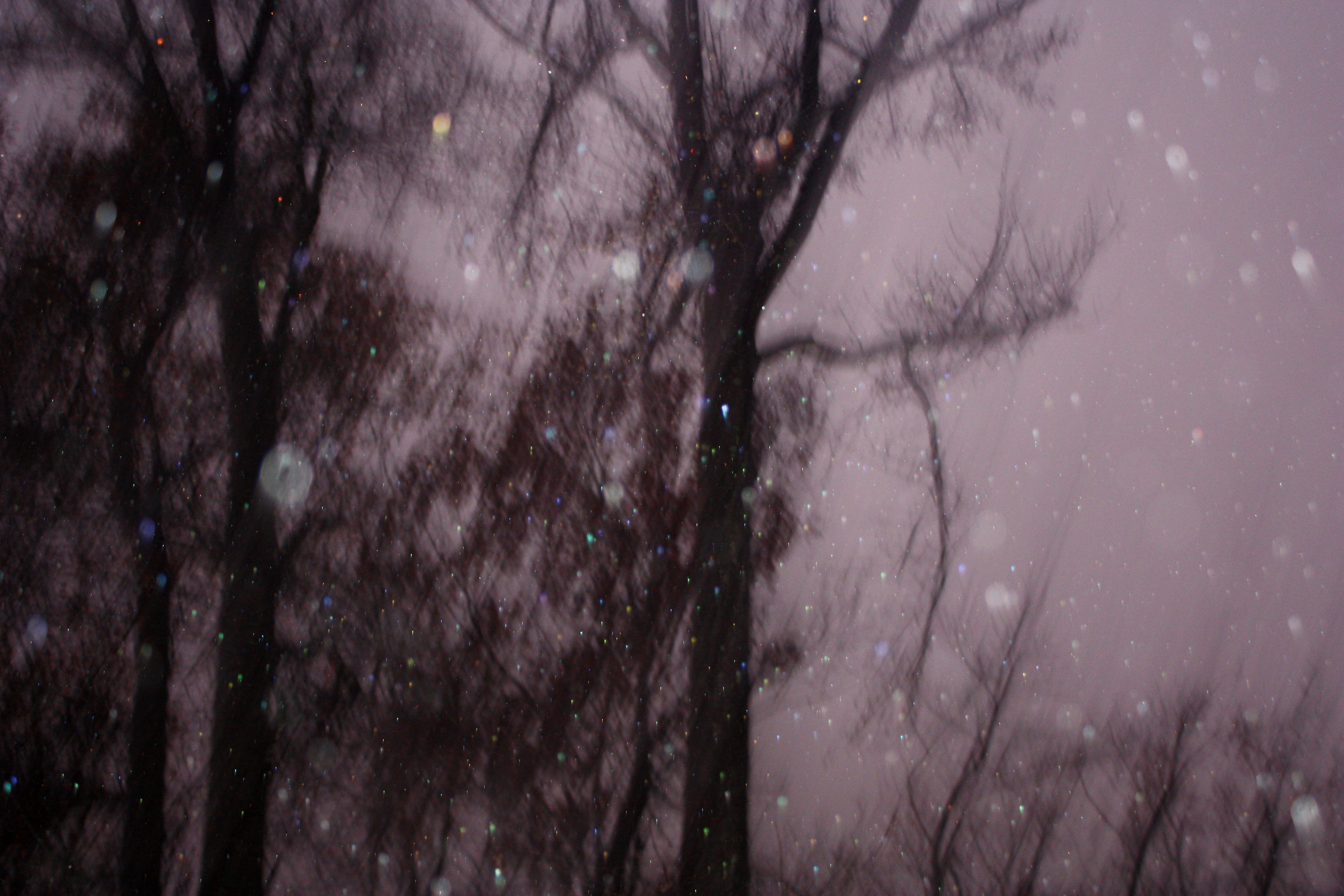 Wilmington, Delaware