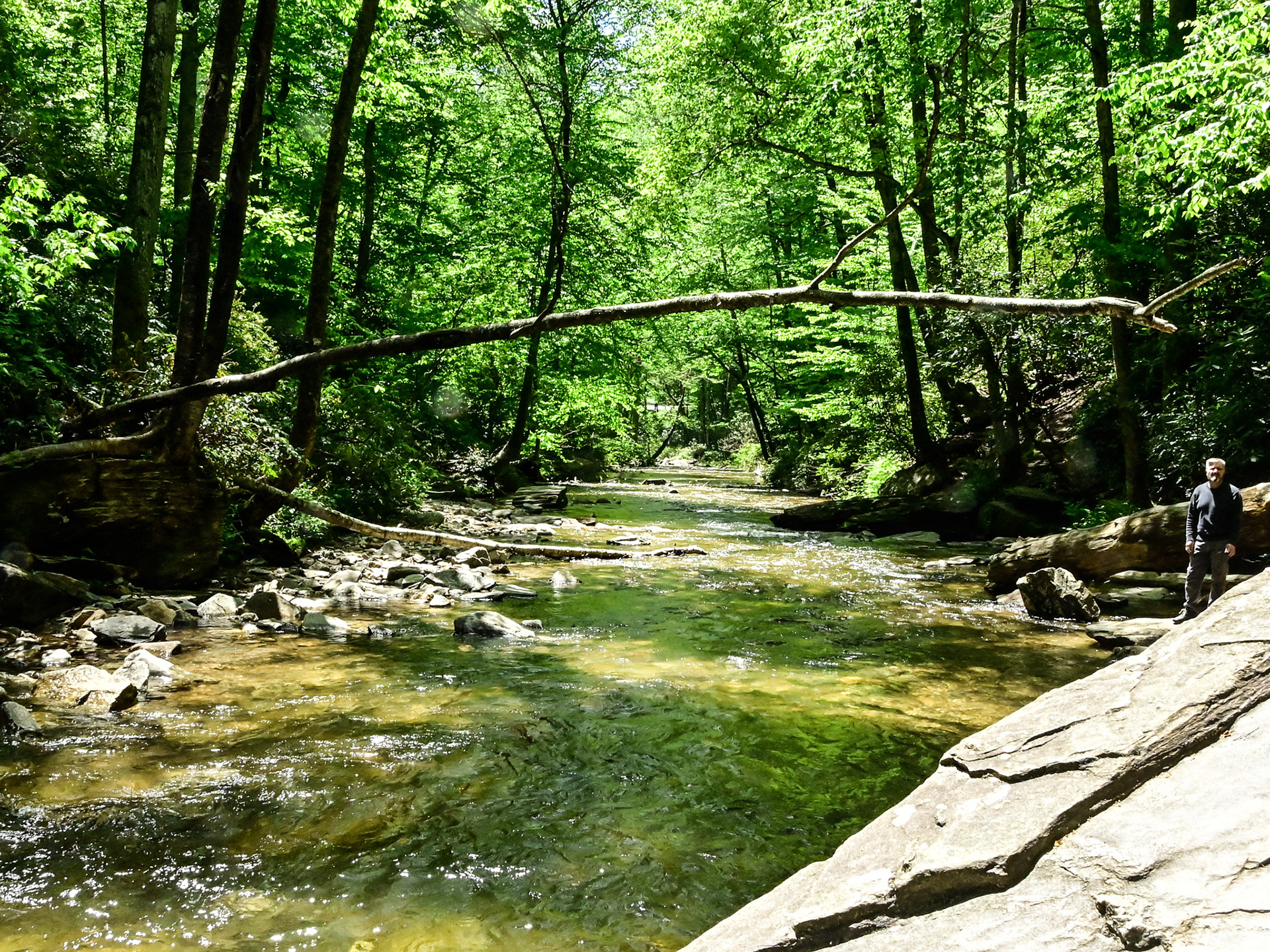 Looking Glass Creek, Brevard, NC