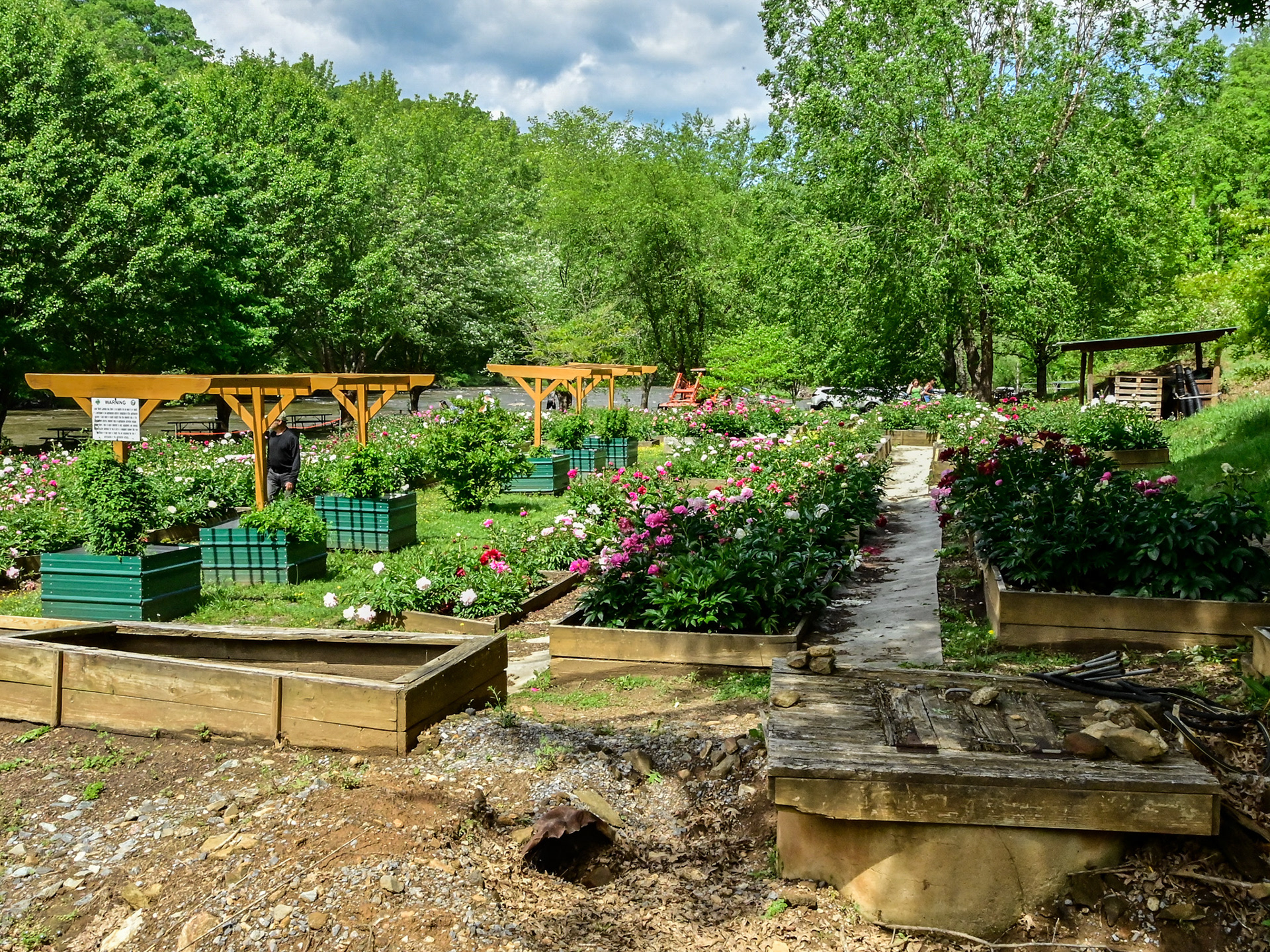 Wildcat Ridge Farm, Clyde, NC