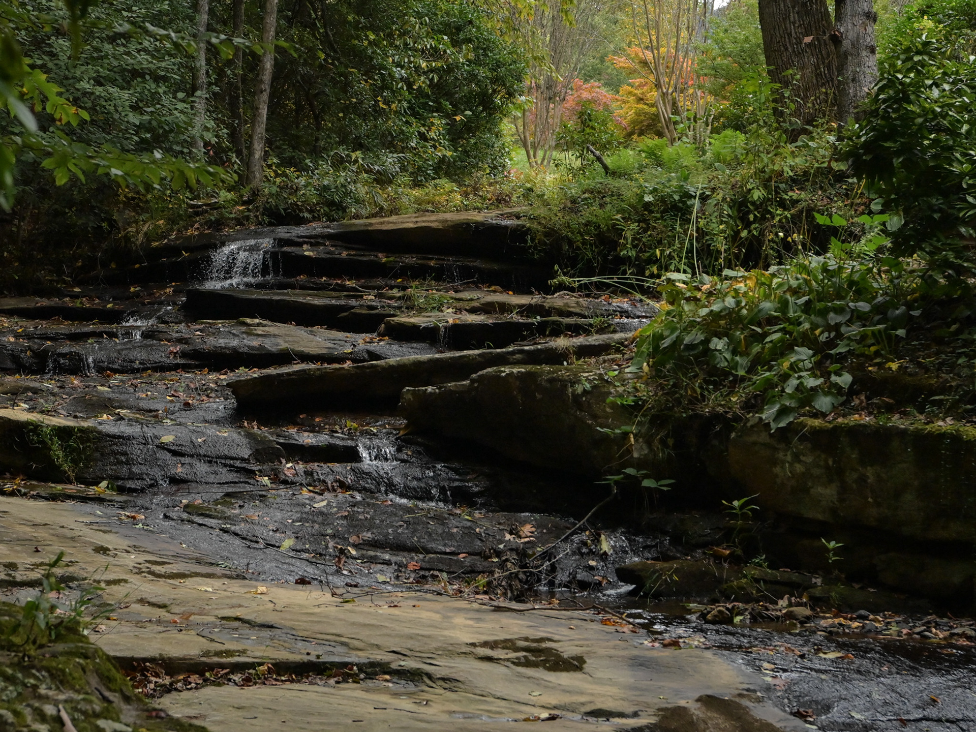 Columbus, NC